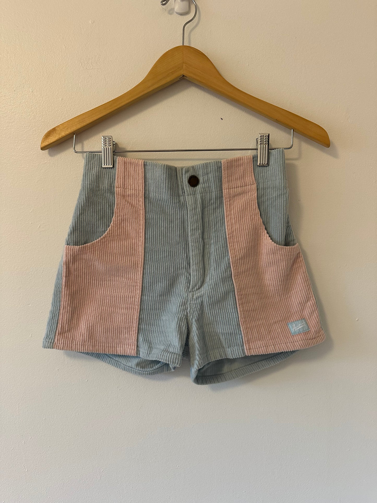 Hammies Pastel Pink and Baby Blue High Rise Corduroy Shorts | Size 26