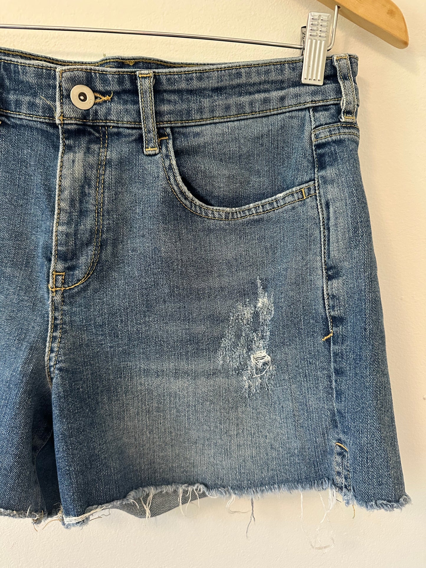 Pilcro Slim Boyfriend Denim Distressed Women Shorts - Size 28