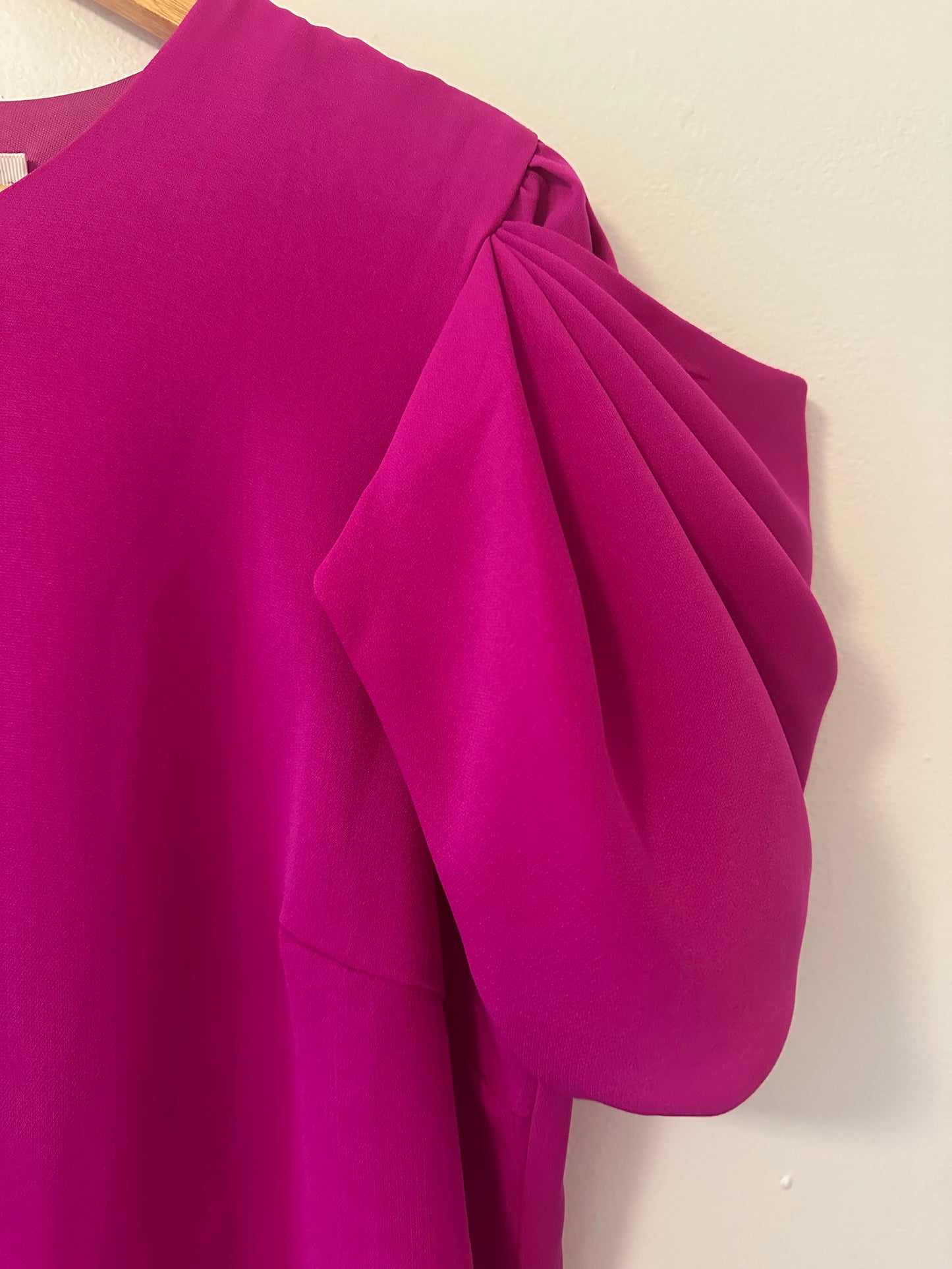 NWT Women's Pink Ruffle Sleeve Mini Dress Size Large