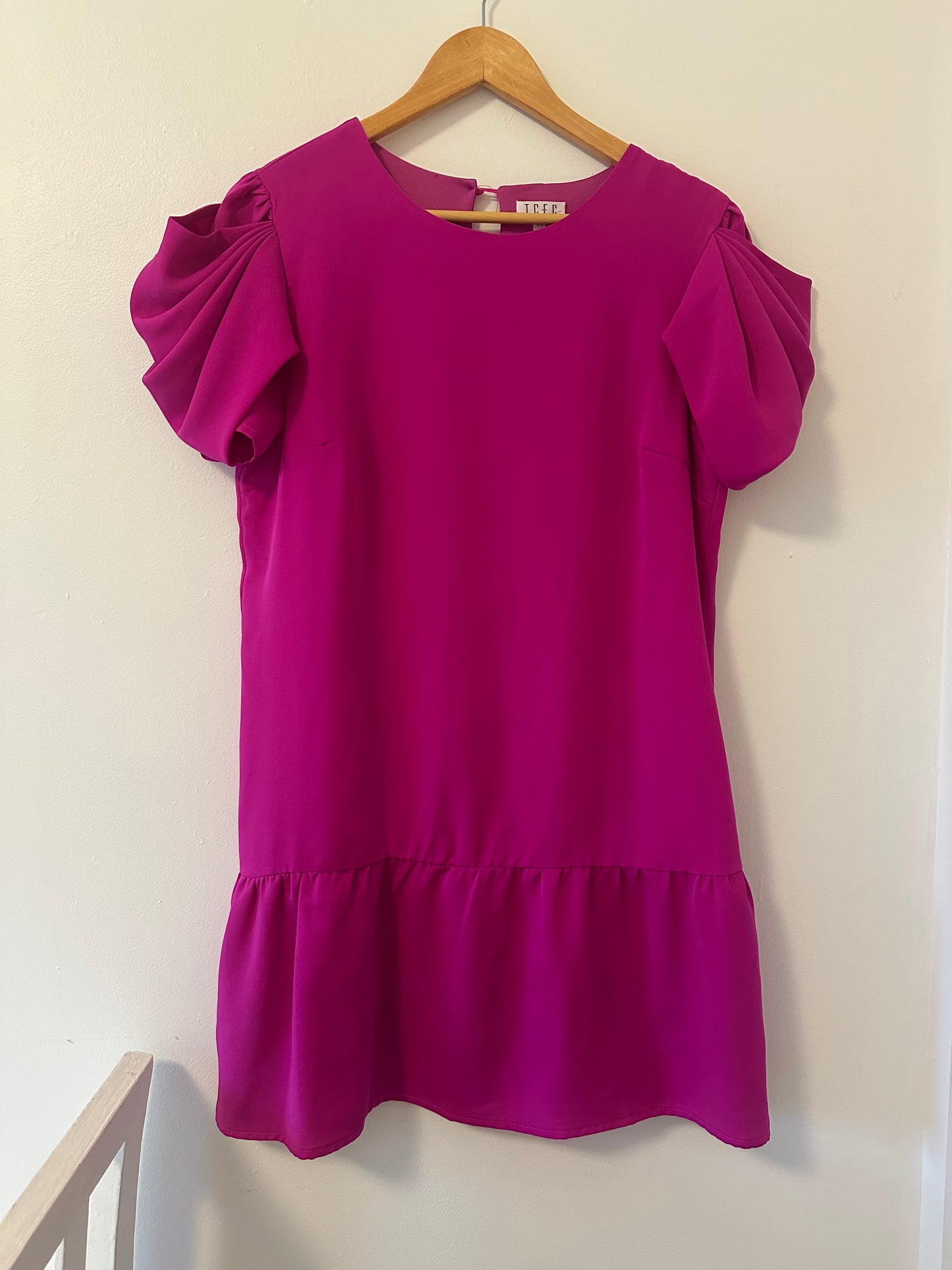 NWT Women's Pink Ruffle Sleeve Mini Dress Size Large