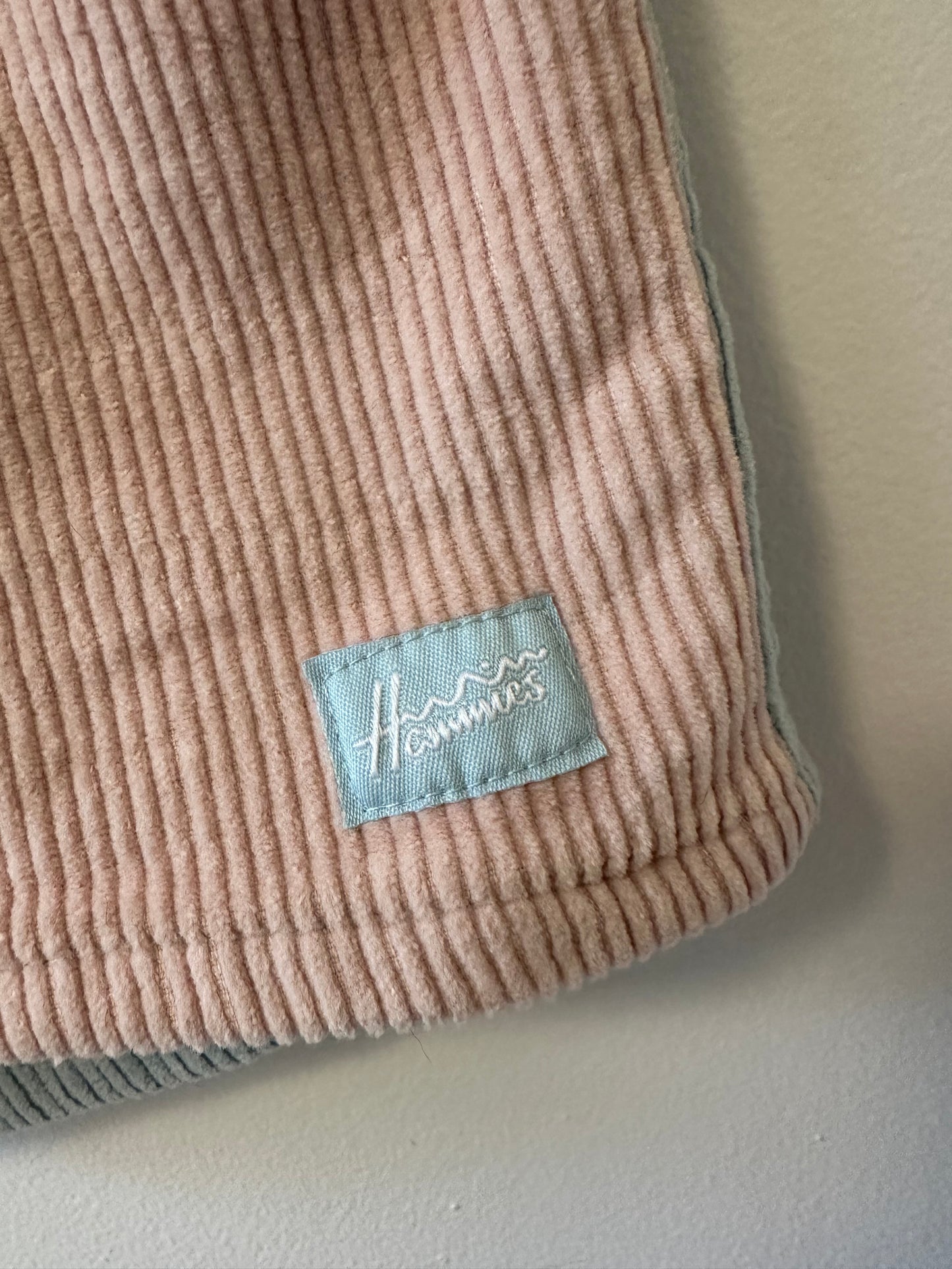 Hammies Pastel Pink and Baby Blue High Rise Corduroy Shorts | Size 26