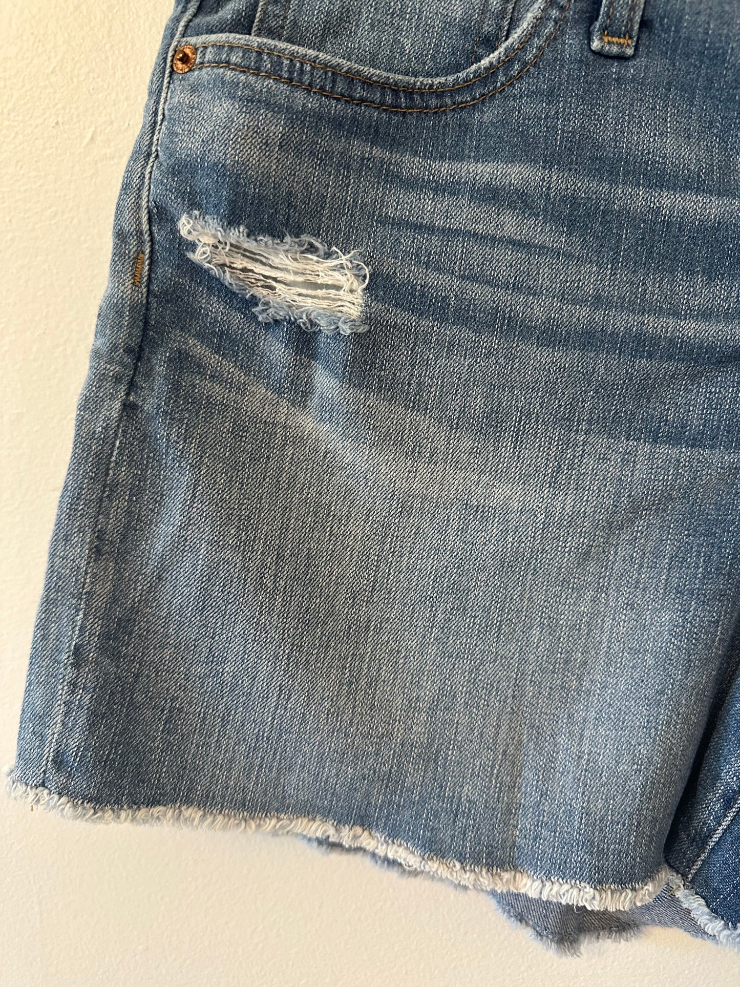 J. Crew Denim Button-Fly High Rise Cutoff Shorts - Size 27