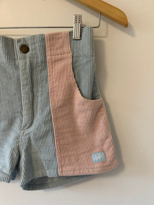 Hammies Pastel Pink and Baby Blue High Rise Corduroy Shorts | Size 26
