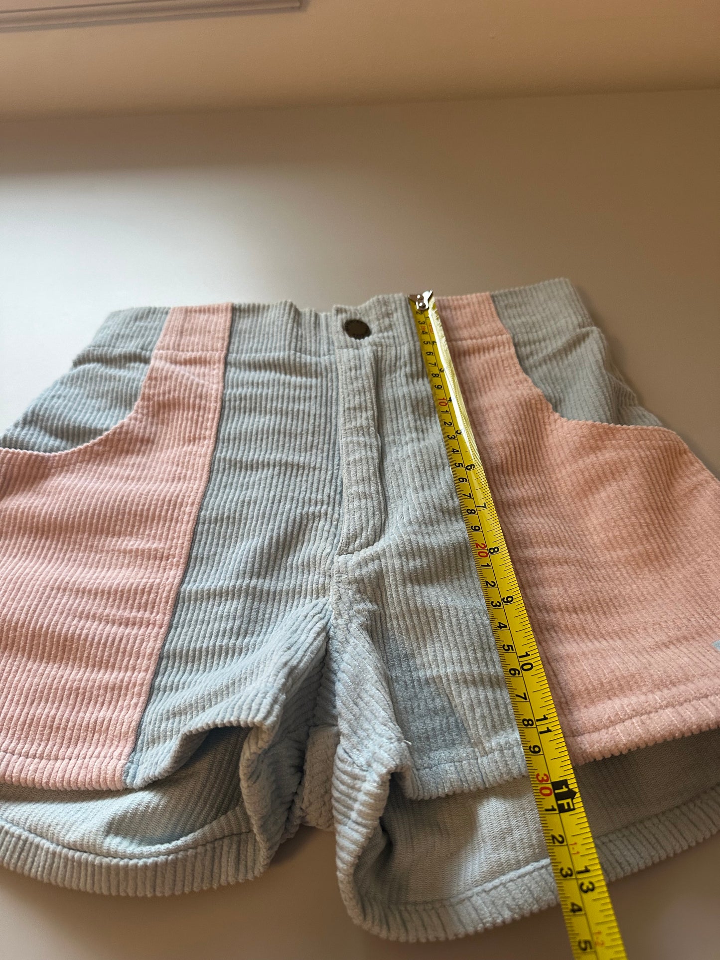 Hammies Pastel Pink and Baby Blue High Rise Corduroy Shorts | Size 26