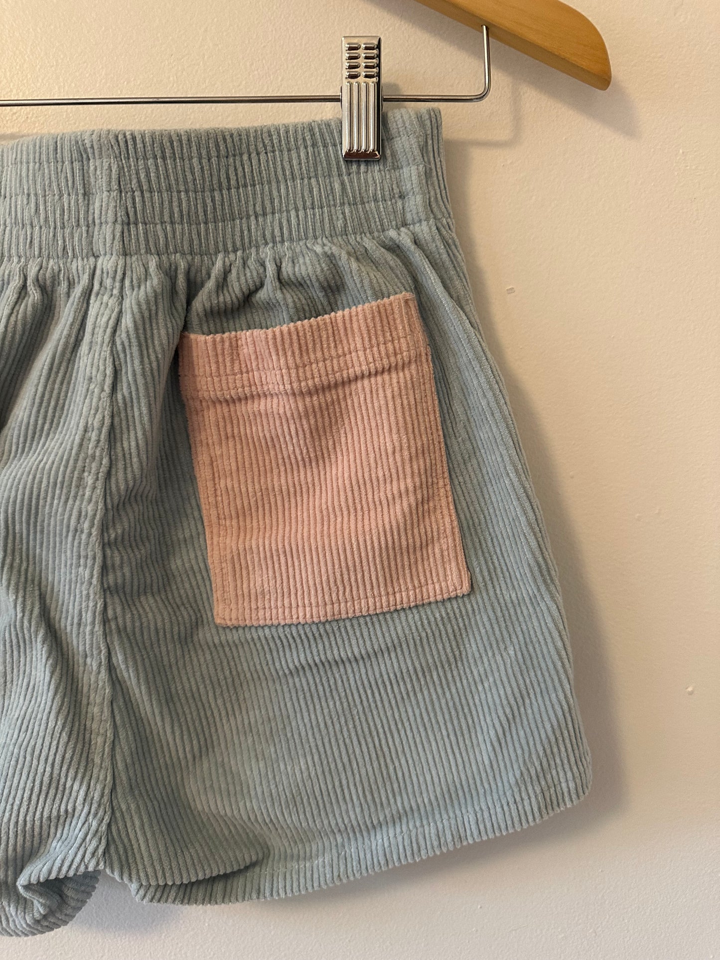Hammies Pastel Pink and Baby Blue High Rise Corduroy Shorts | Size 26