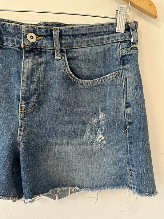 Pilcro Slim Boyfriend Denim Distressed Women Shorts - Size 28