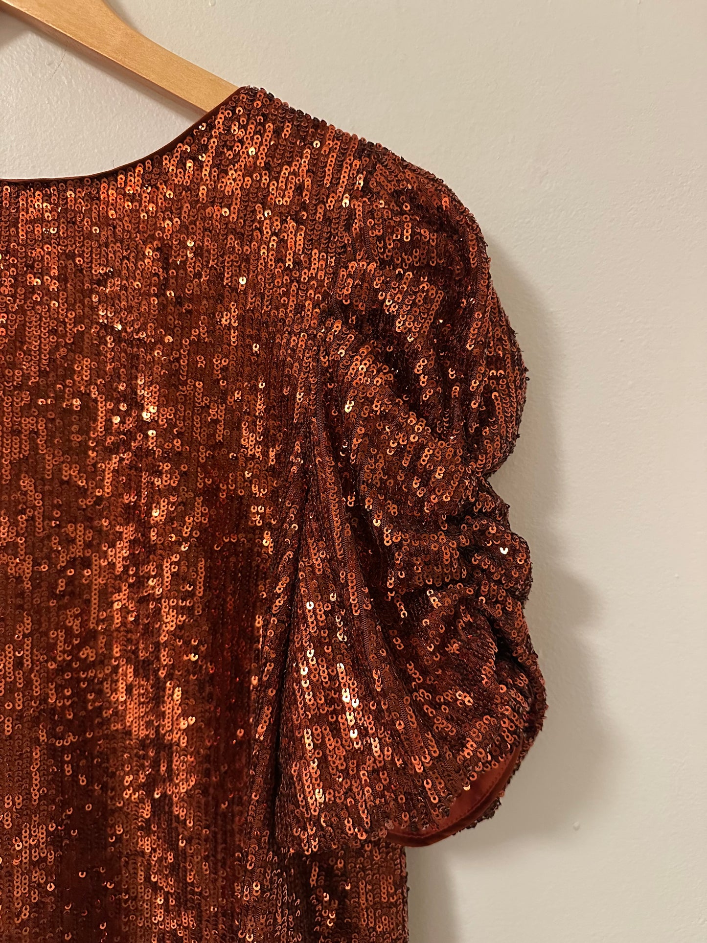 Anthropologie Marie Sequin Puff Sleeve Blouse in Copper | Size 6