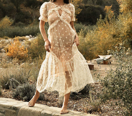 Doen Zelda Sheer Floral Maxi Dress in Faded Peach - Size XS