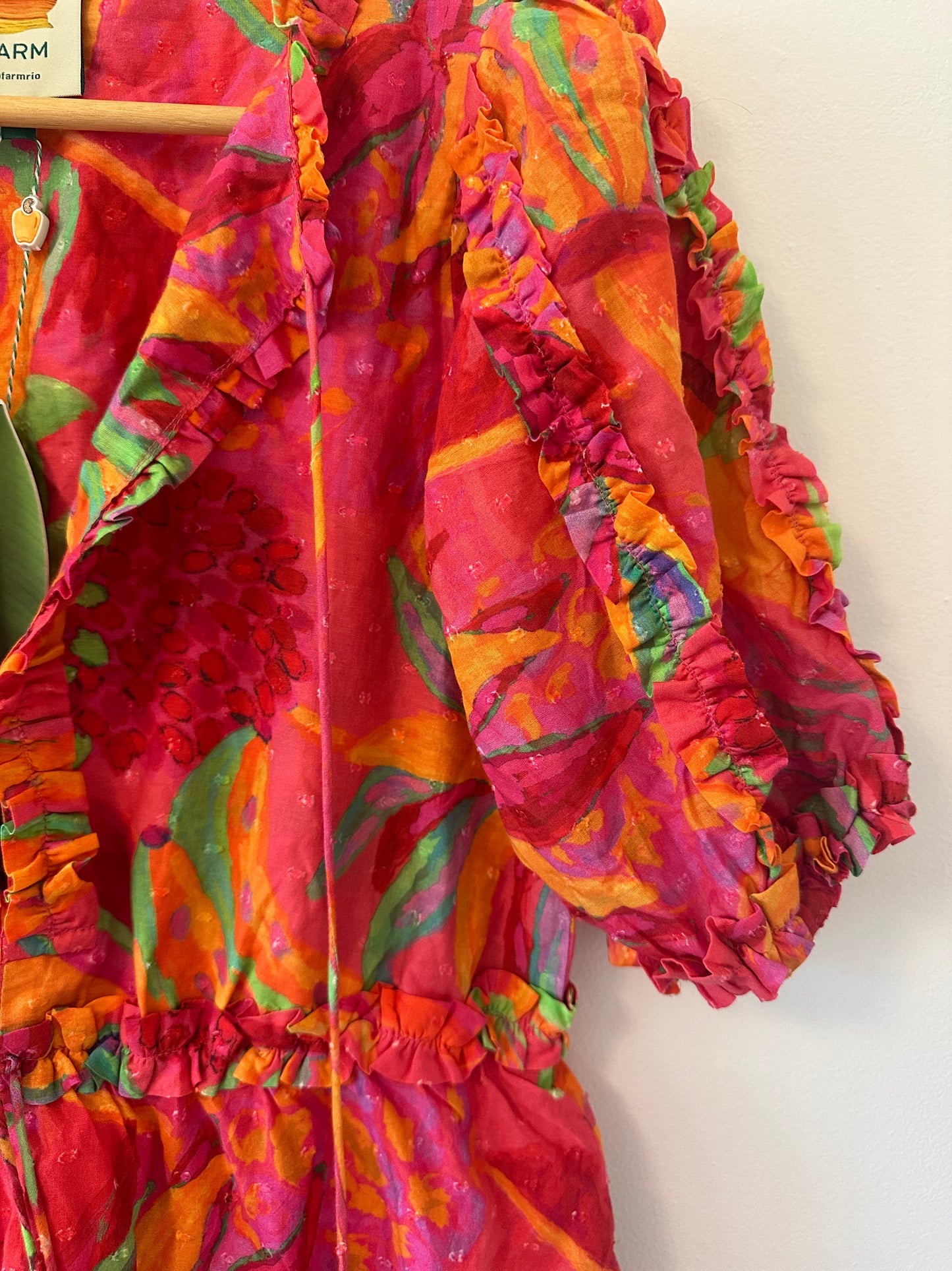 FARM Rio New Fruit Brush Mini Dress Size XS