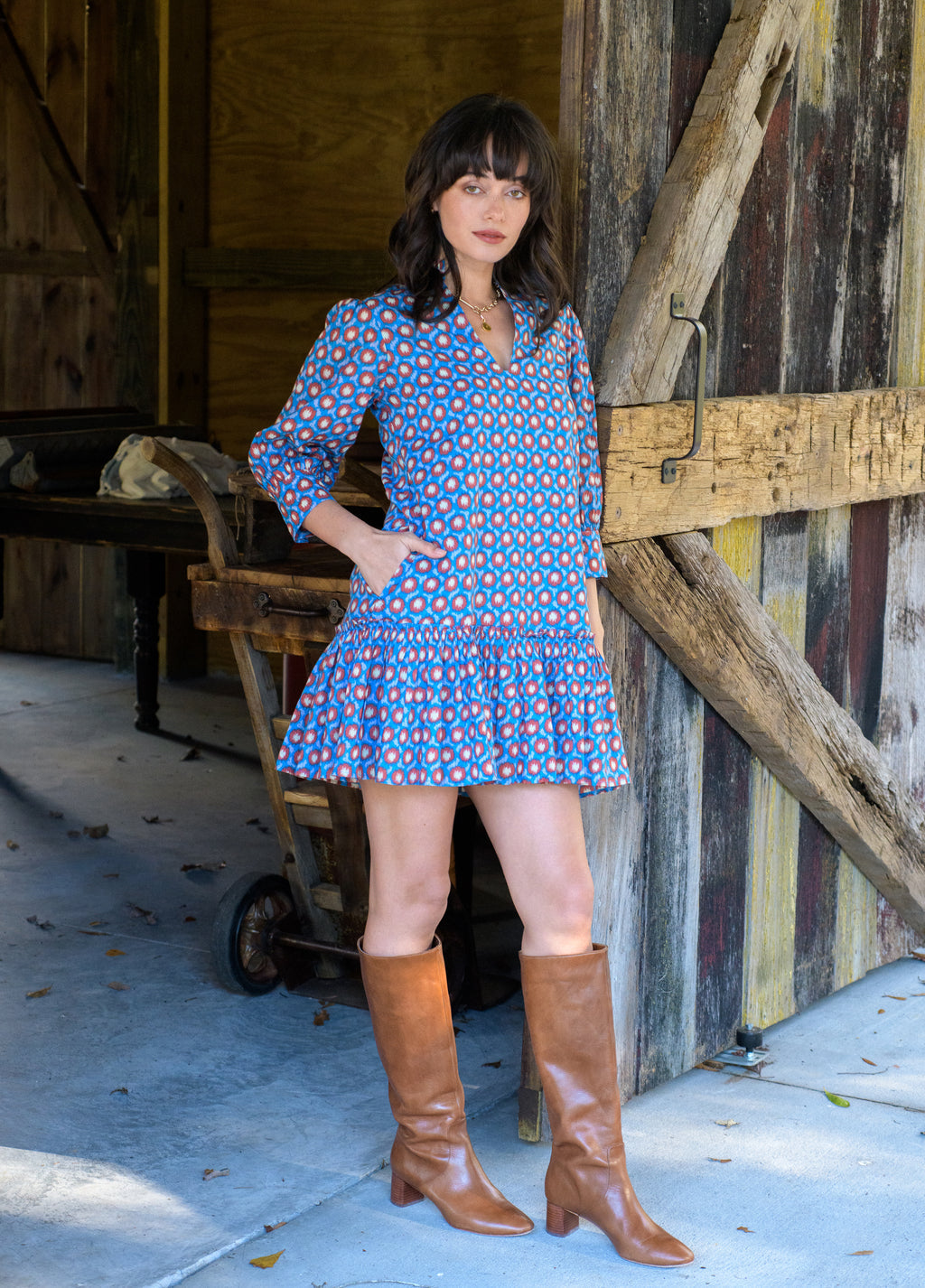 NWT Elizabeth James The Label Chloe Dress in Mini Lasso | Size Large