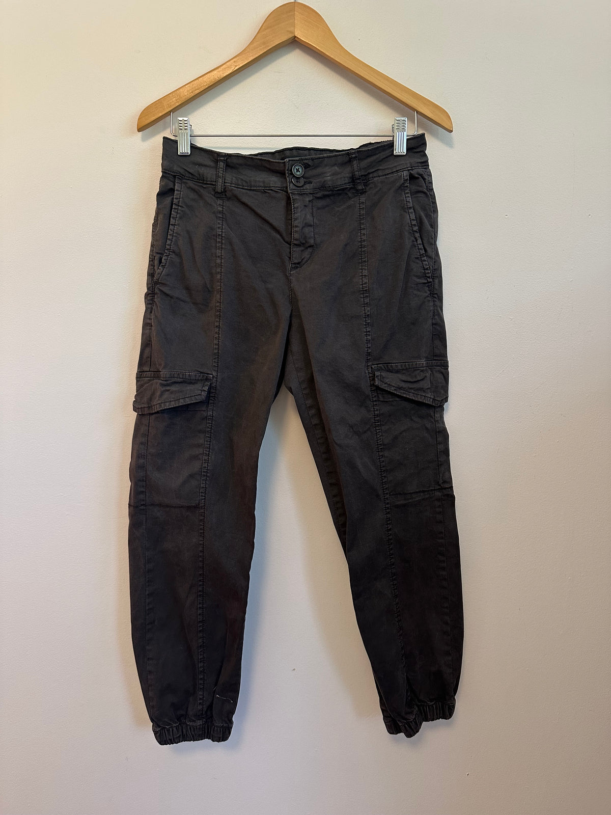Sanctuary Standard Surplus Cargo Jogger Pants in Charcoal Gray | Size 27