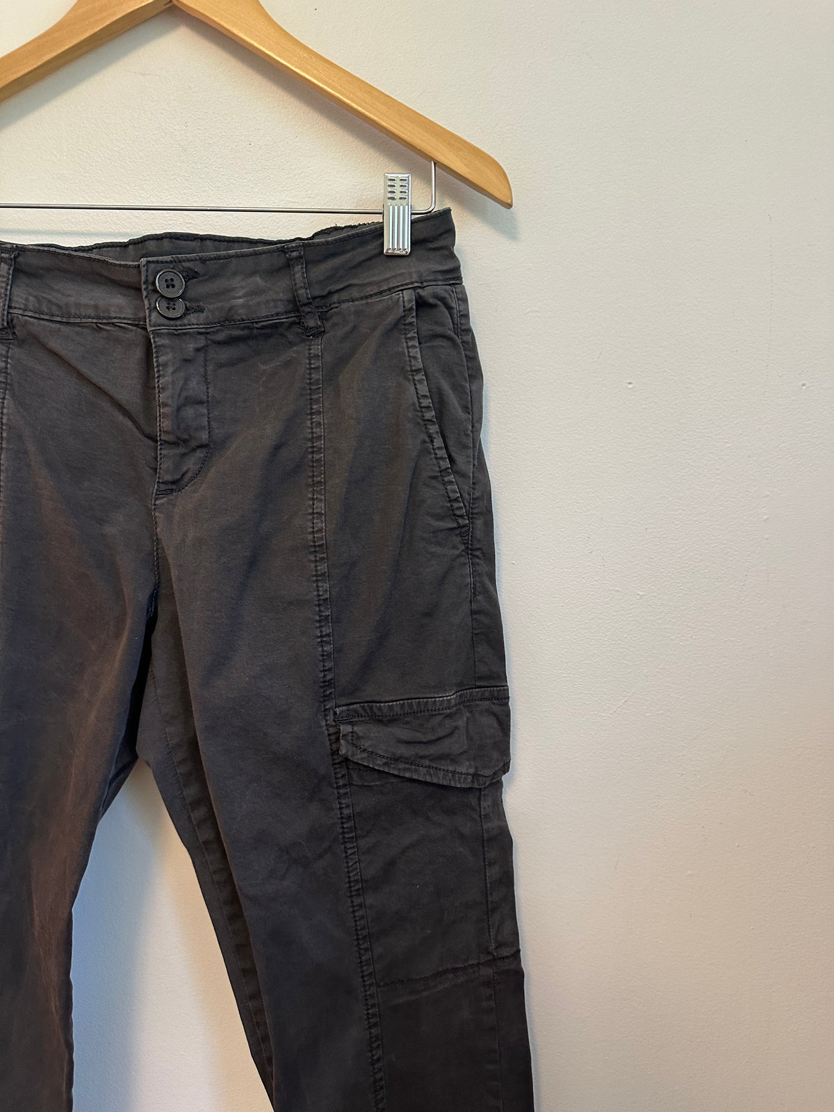 Sanctuary Standard Surplus Cargo Jogger Pants in Charcoal Gray | Size 27