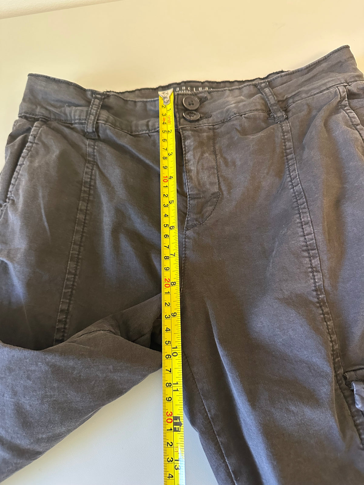 Sanctuary Standard Surplus Cargo Jogger Pants in Charcoal Gray | Size 27