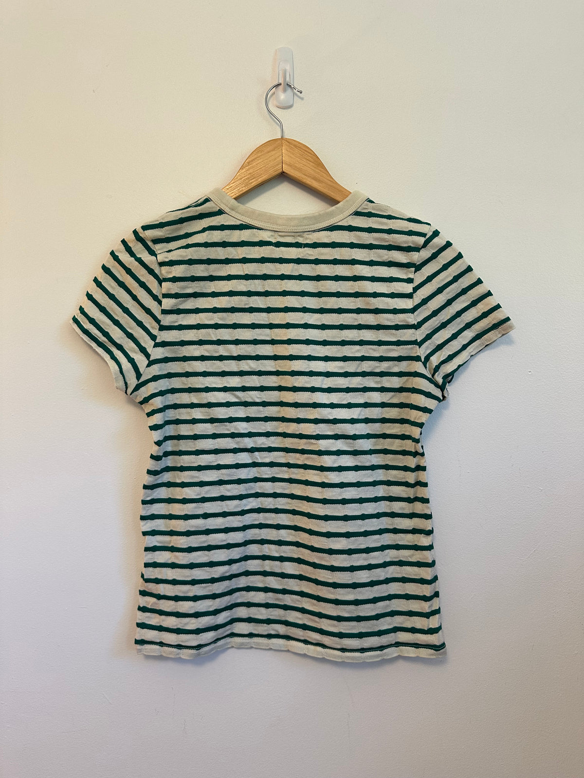 Nation LTD Laurence Shrunken Vintage Green and White Stripe T-Shirt | Size Large