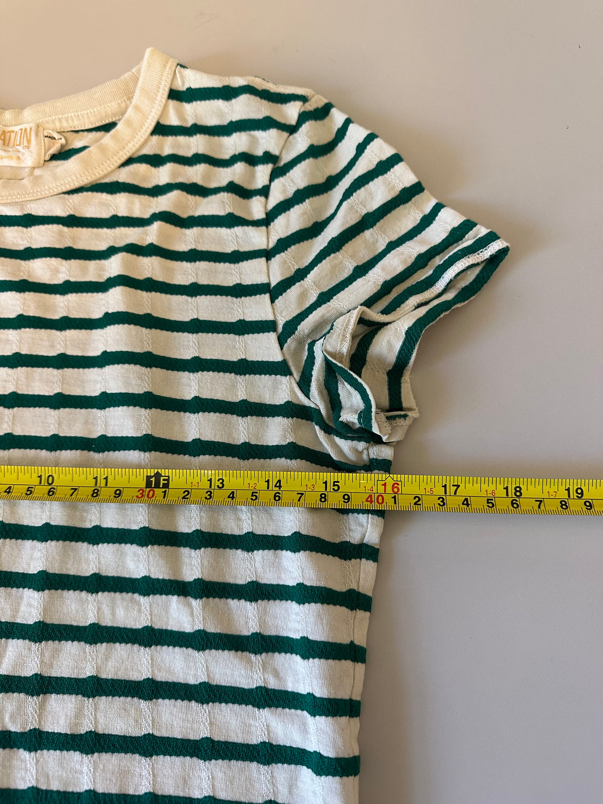 Nation LTD Laurence Shrunken Vintage Green and White Stripe T-Shirt | Size Large