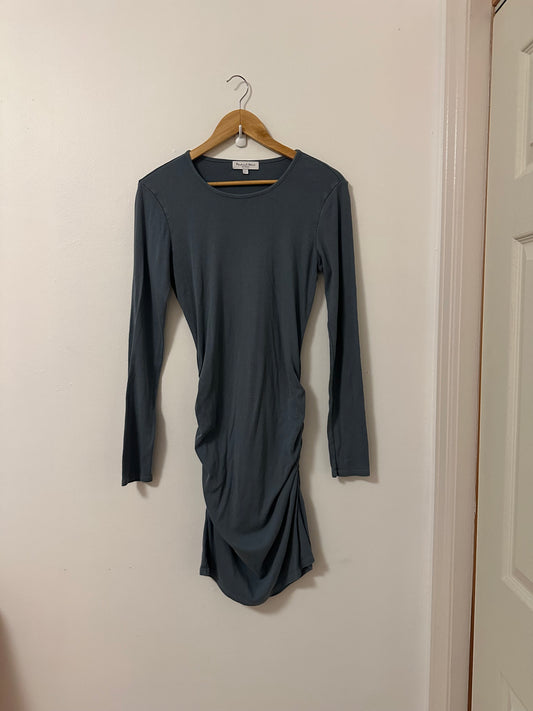 Michael Stars Jordan Long Sleeve Ruched Ribbed Mini Dress | Size Large