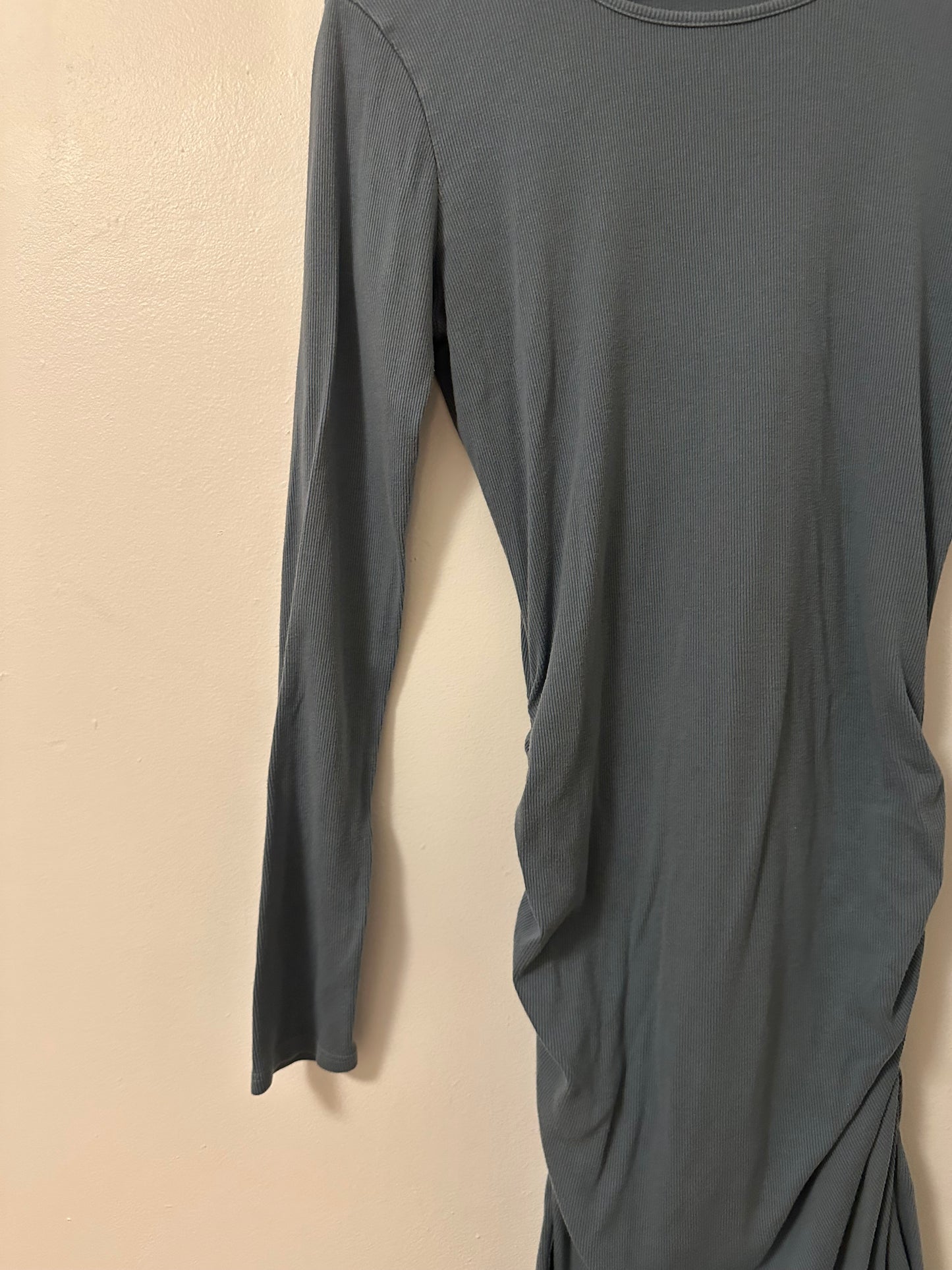 Michael Stars Jordan Long Sleeve Ruched Ribbed Mini Dress | Size Large