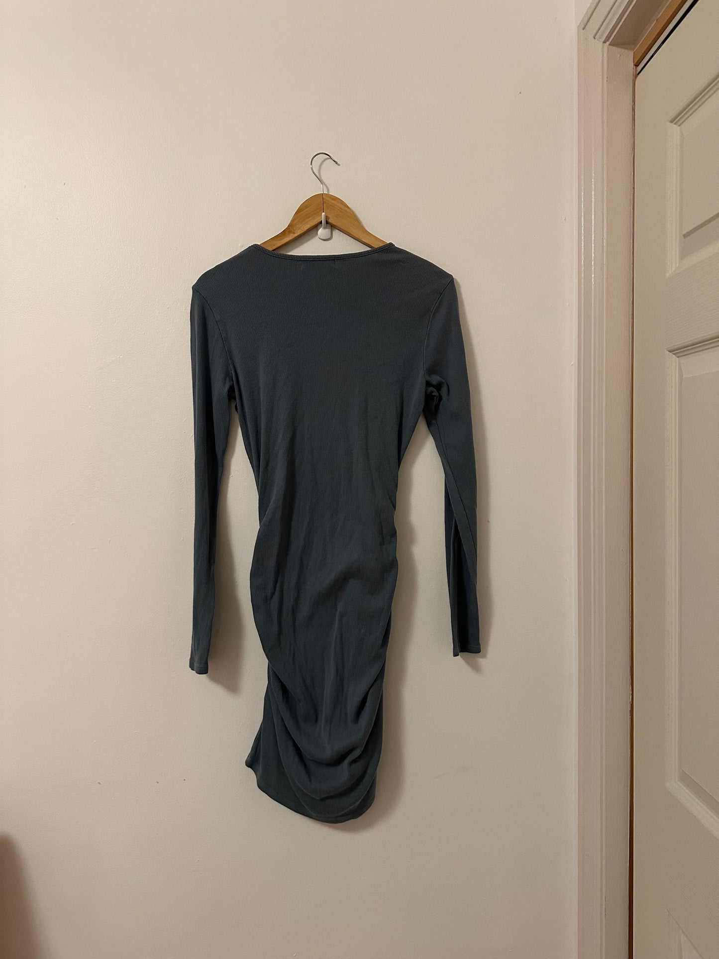 Michael Stars Jordan Long Sleeve Ruched Ribbed Mini Dress | Size Large