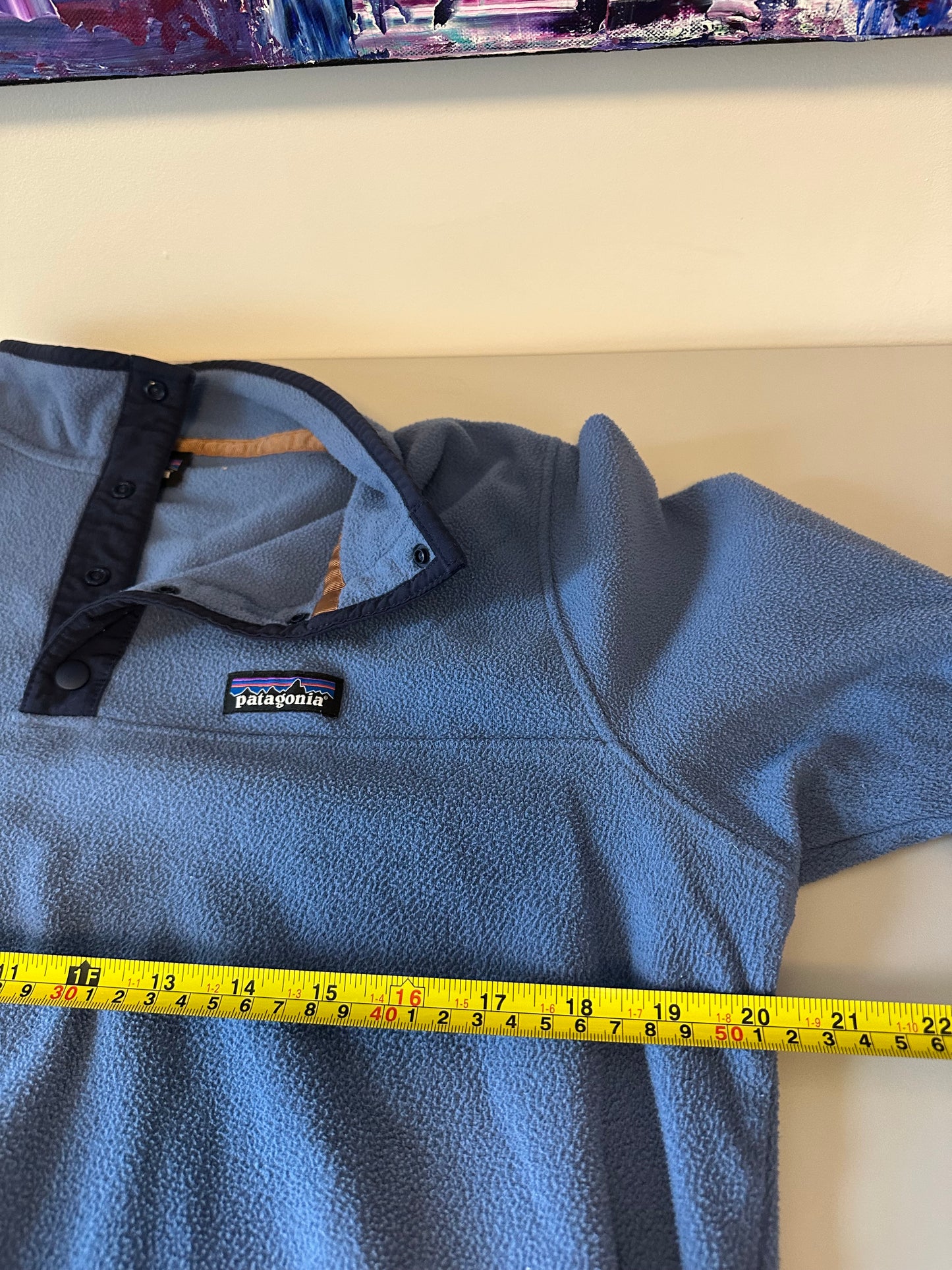 Patagonia Micro D Snap-T Fleece Pullover in Blue | Size XL