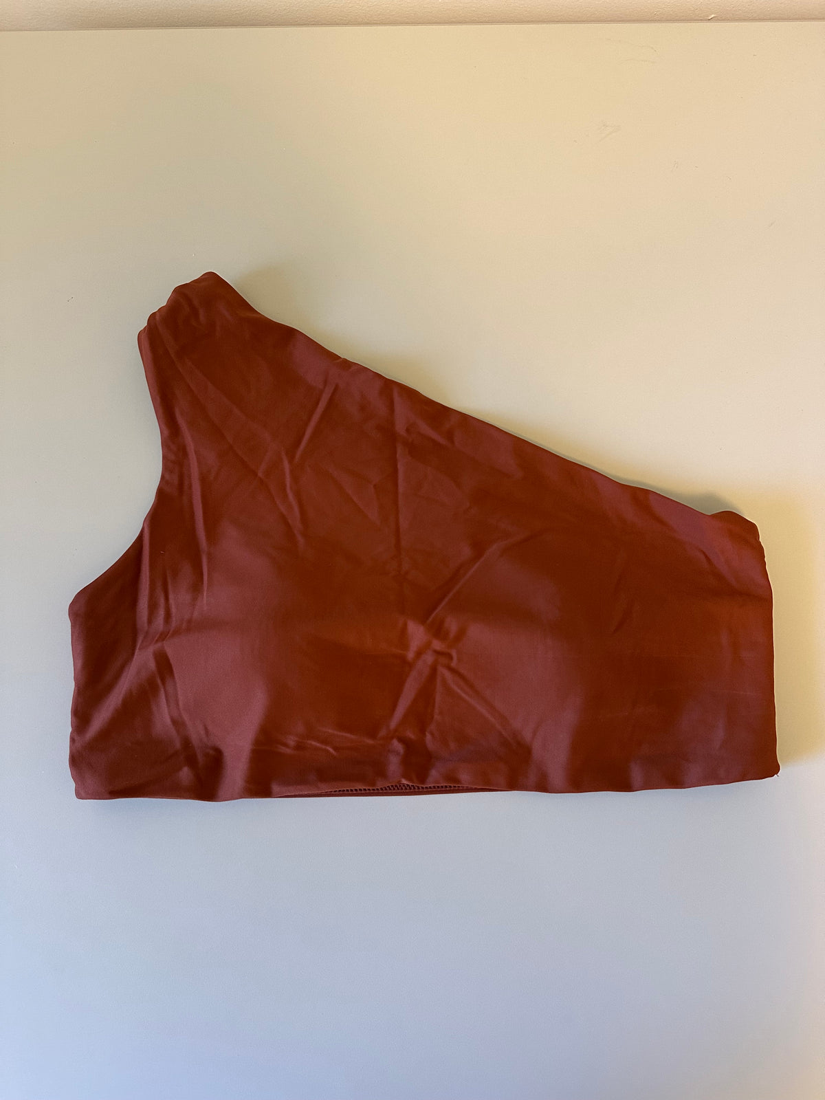 Summersalt The Sidestroke One Shoulder Bikini Top in Terracotta Rust | Size 12