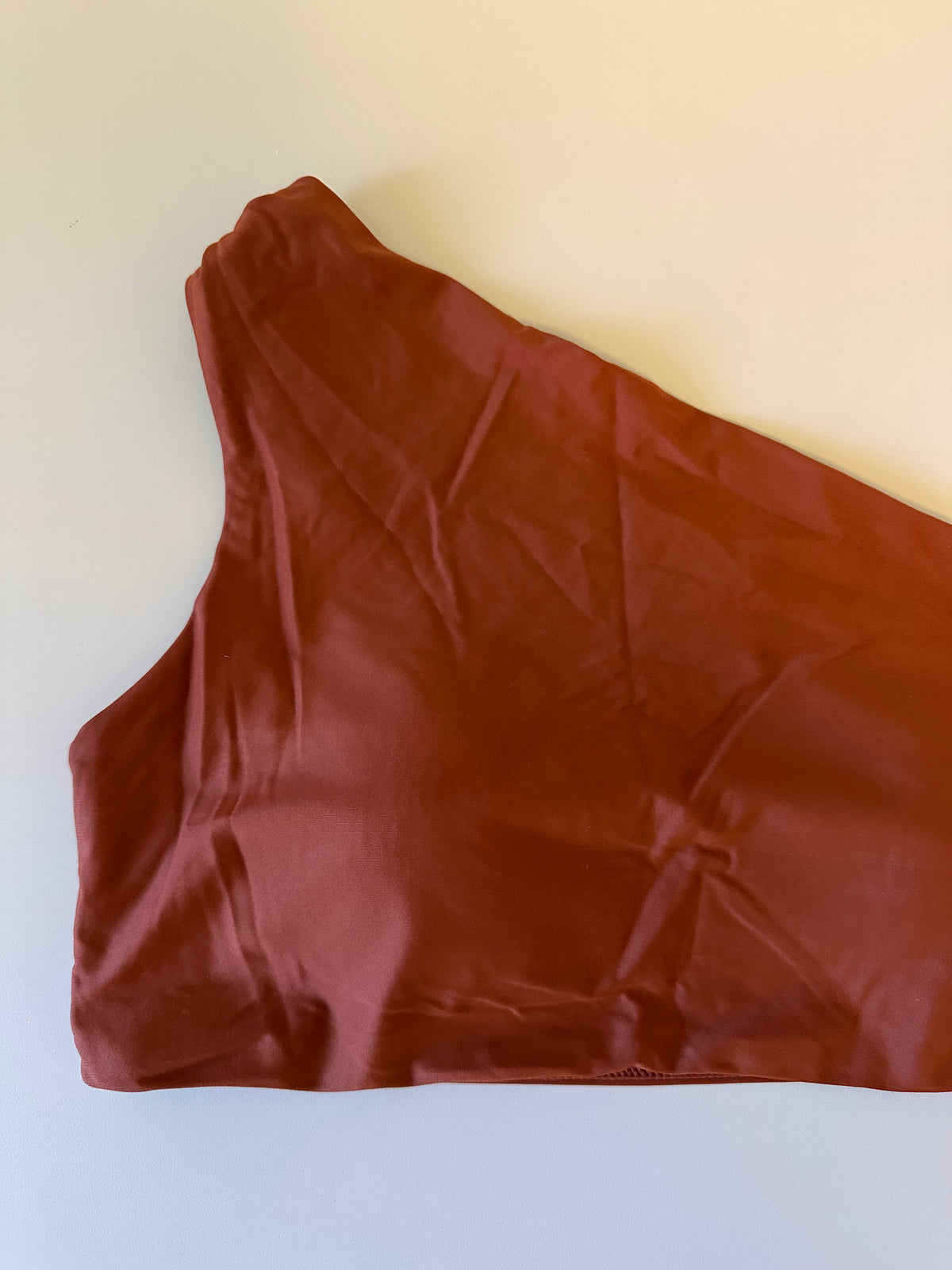 Summersalt The Sidestroke One Shoulder Bikini Top in Terracotta Rust | Size 12