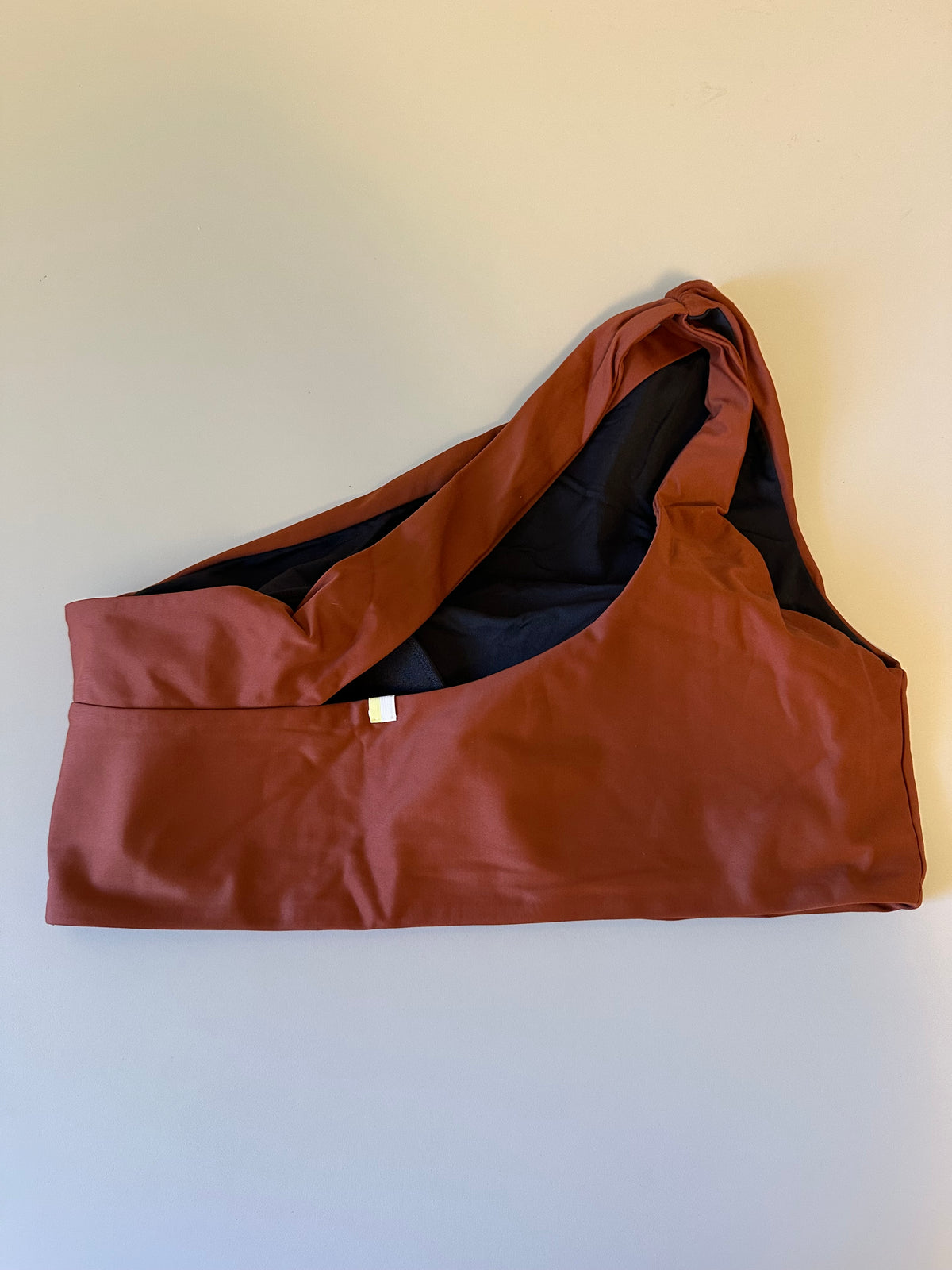 Summersalt The Sidestroke One Shoulder Bikini Top in Terracotta Rust | Size 12