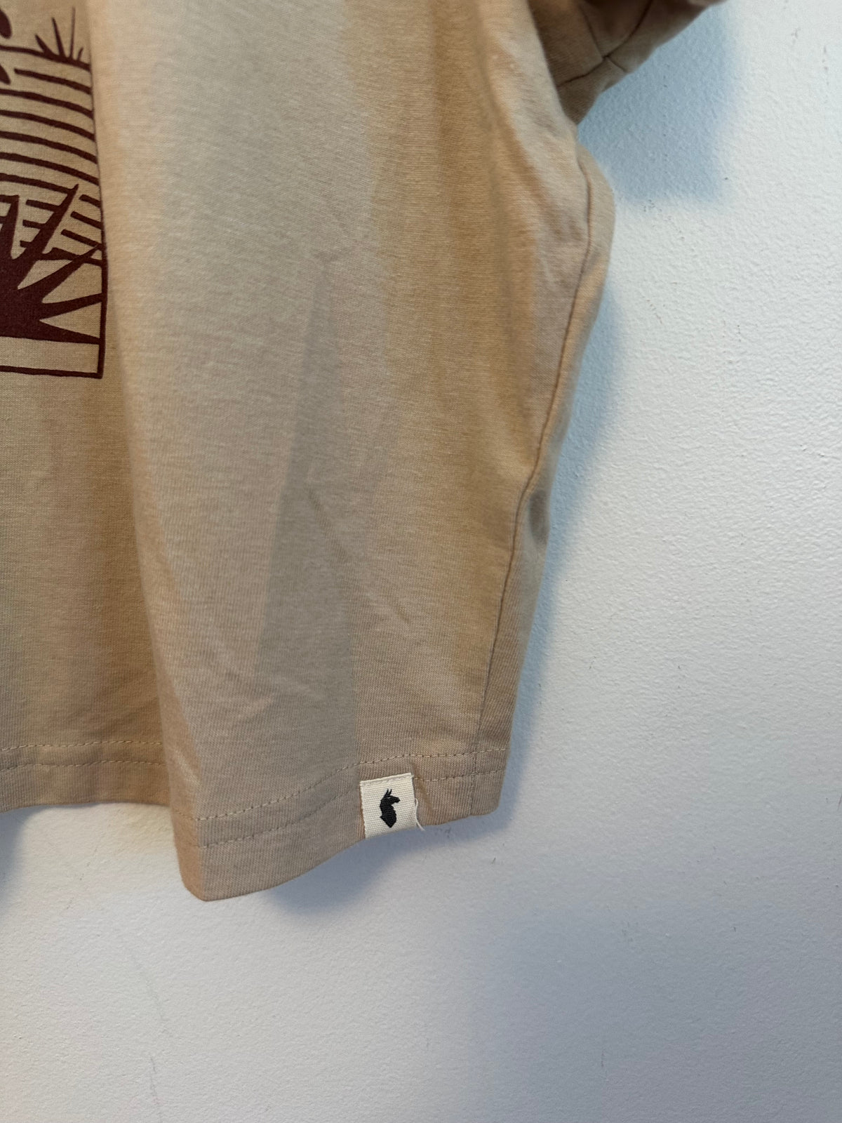 Cotopaxi Tan Desert Sun Graphic Relaxed Fit Boxy Short Sleeve T-Shirt | Size XL