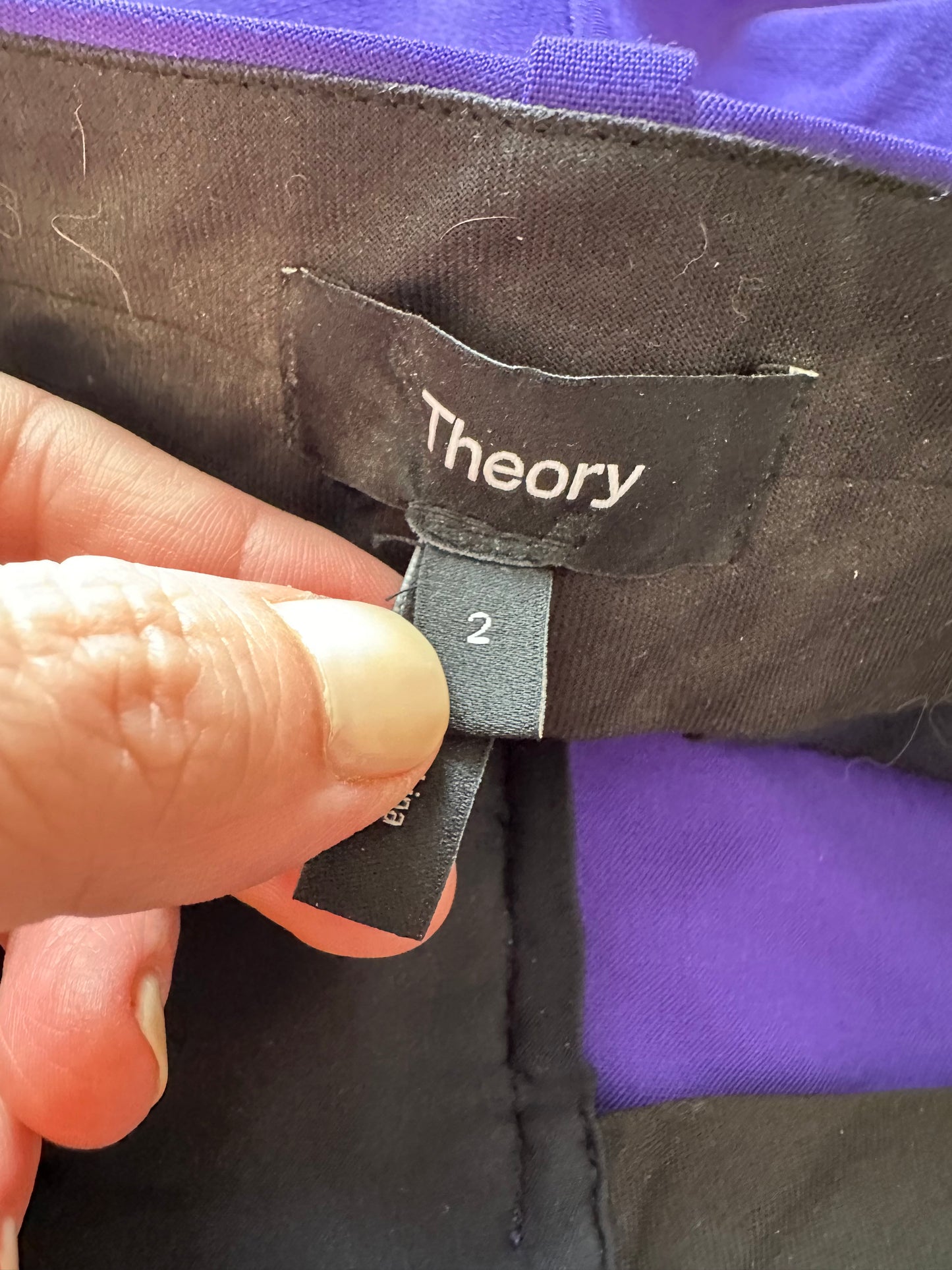 Theory Pleated Low-Rise Wide Leg Pant in Good Wool - Blue Iris (Purple) | Size 2