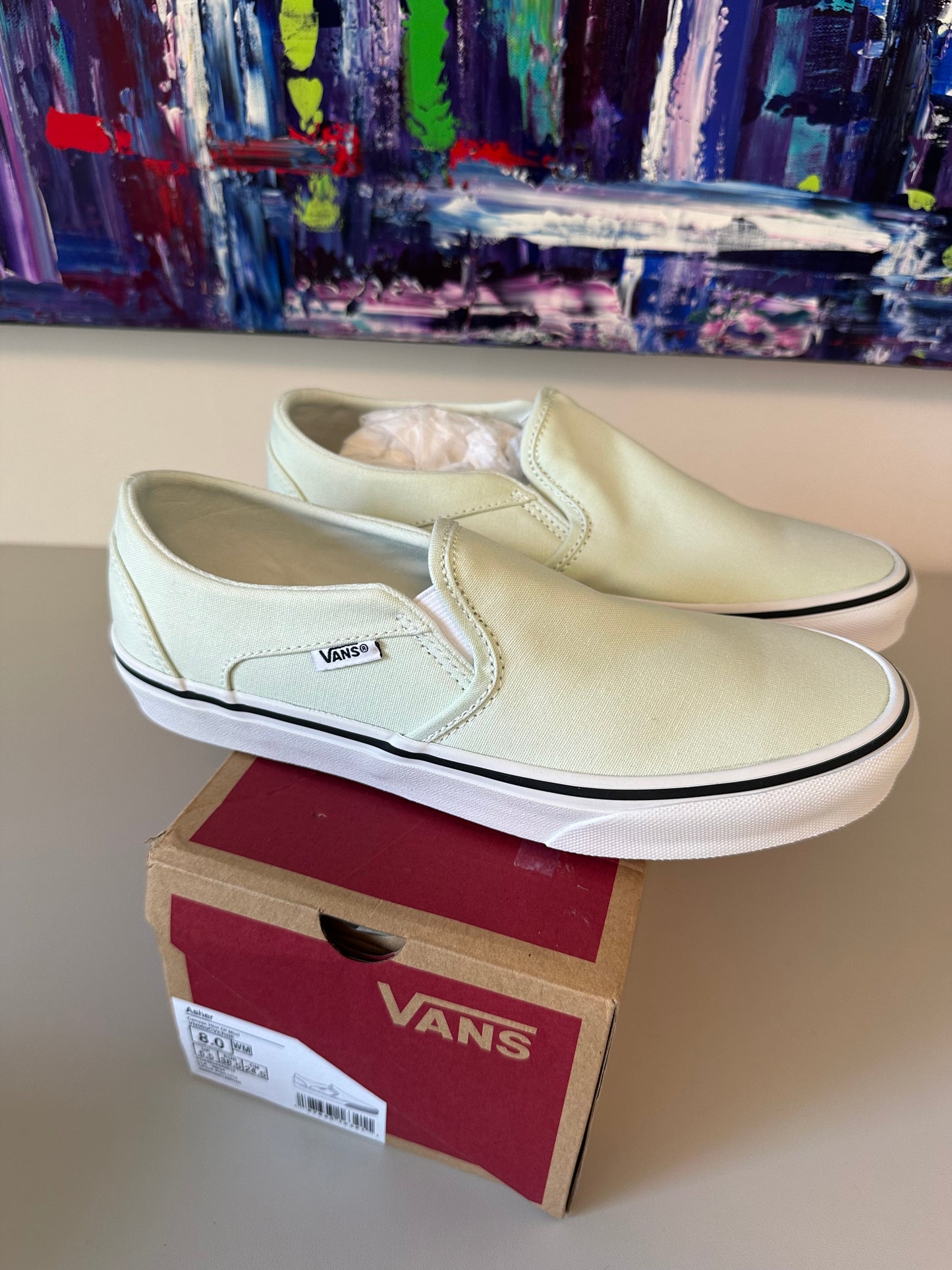 New in Box Vans Asher Hint Of Mint Canvas Slip On Sneakers | Size 8