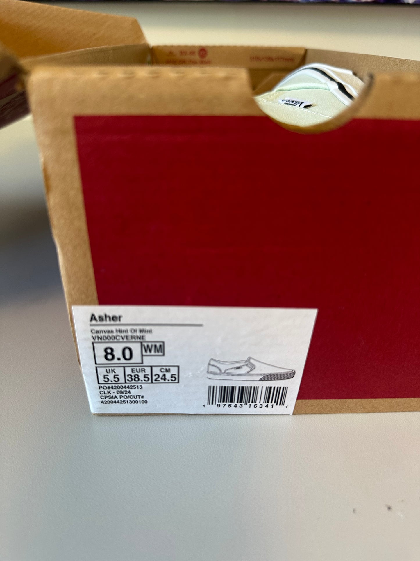 New in Box Vans Asher Hint Of Mint Canvas Slip On Sneakers | Size 8