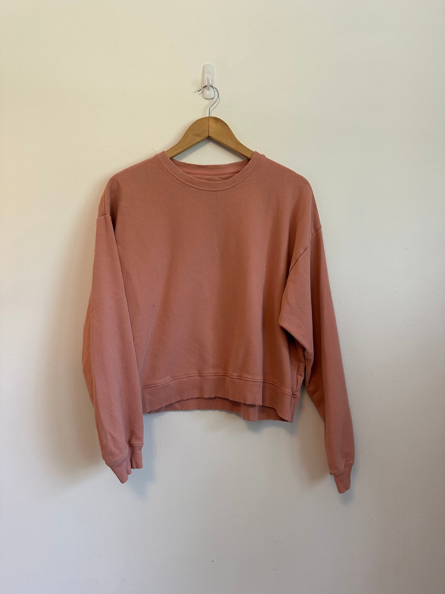 American Eagle Cropped Sweatshirt in Dusty Rose Pink | Size Large