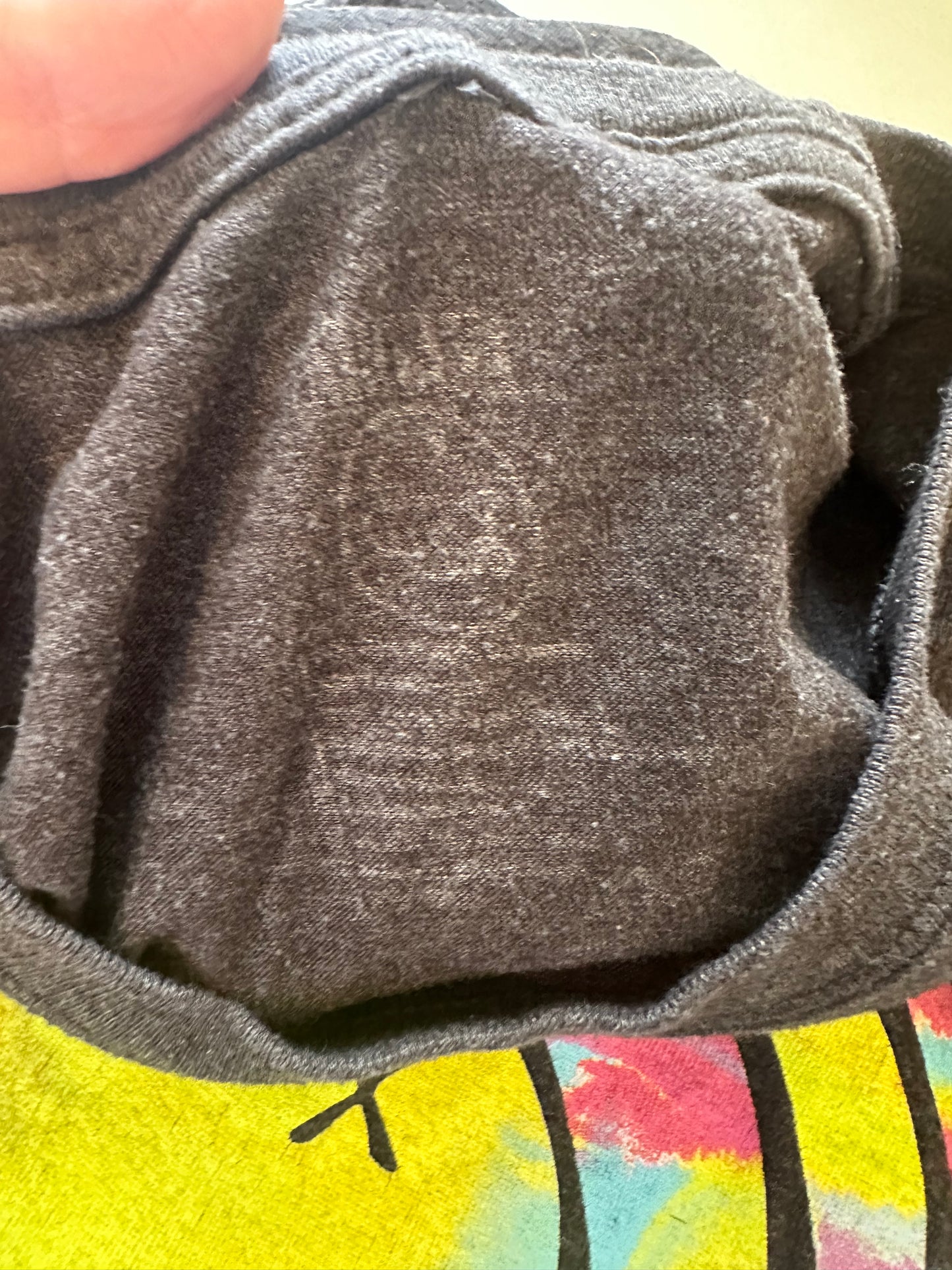 Nirvana Gray and Neon Graphic Short Sleeve T-Shirt