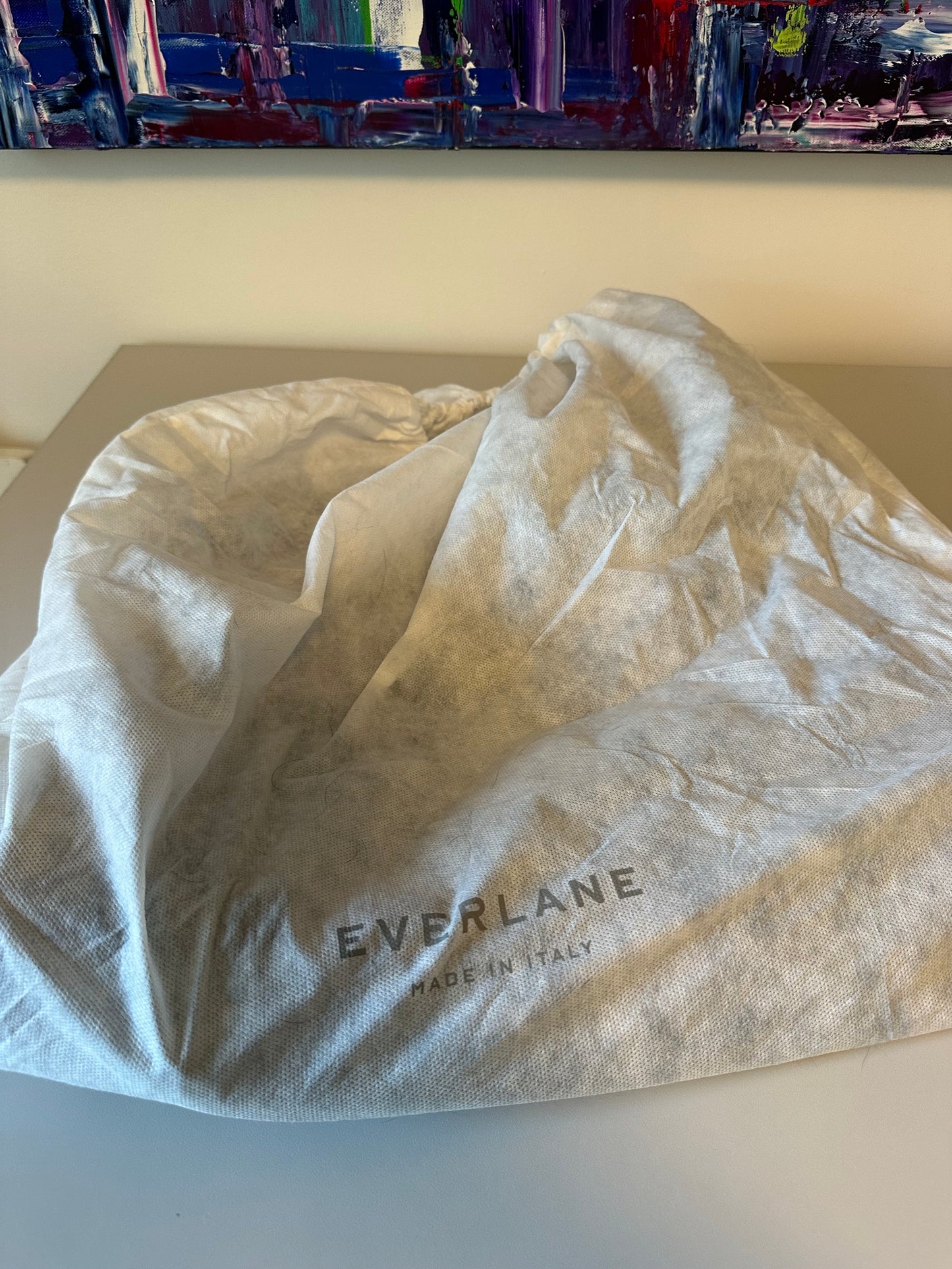 Everlane The Boss Bag Black Pebbled Italian Leather Hobo Shoulder Bag