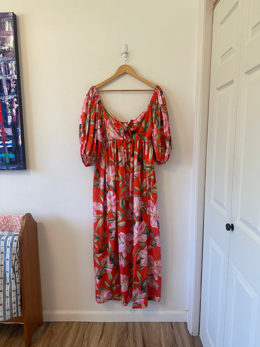 Mara Hoffman Violet Dress in Lilly Floral | Size Medium