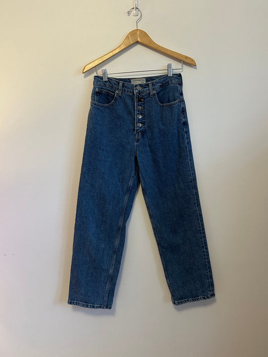 Everlane The Way High Jeans in Organic Cotton | Size 27