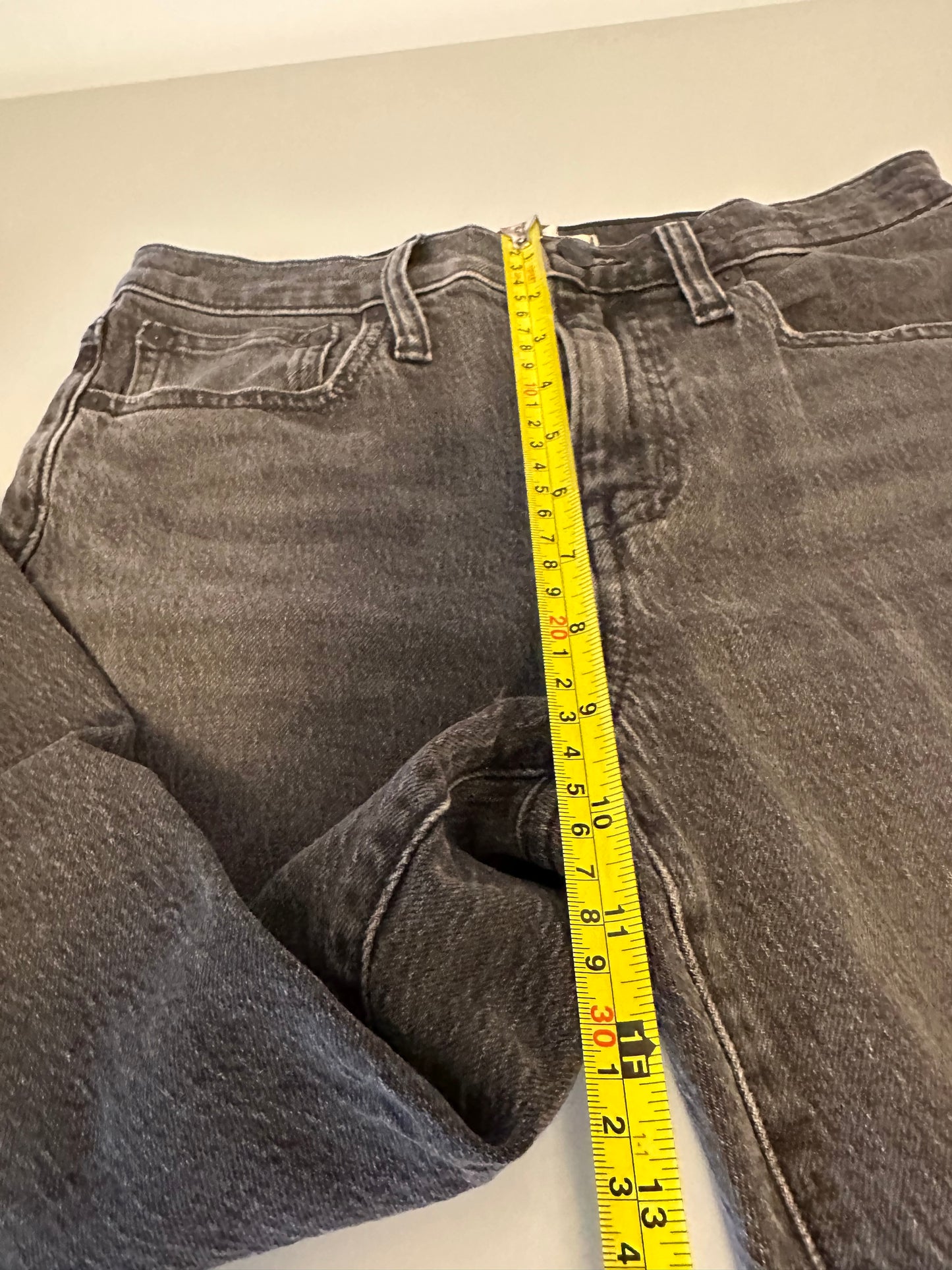 Madewell NWT 10" High-Rise Skinny Jeans in Oakwood Wash | Size 26P