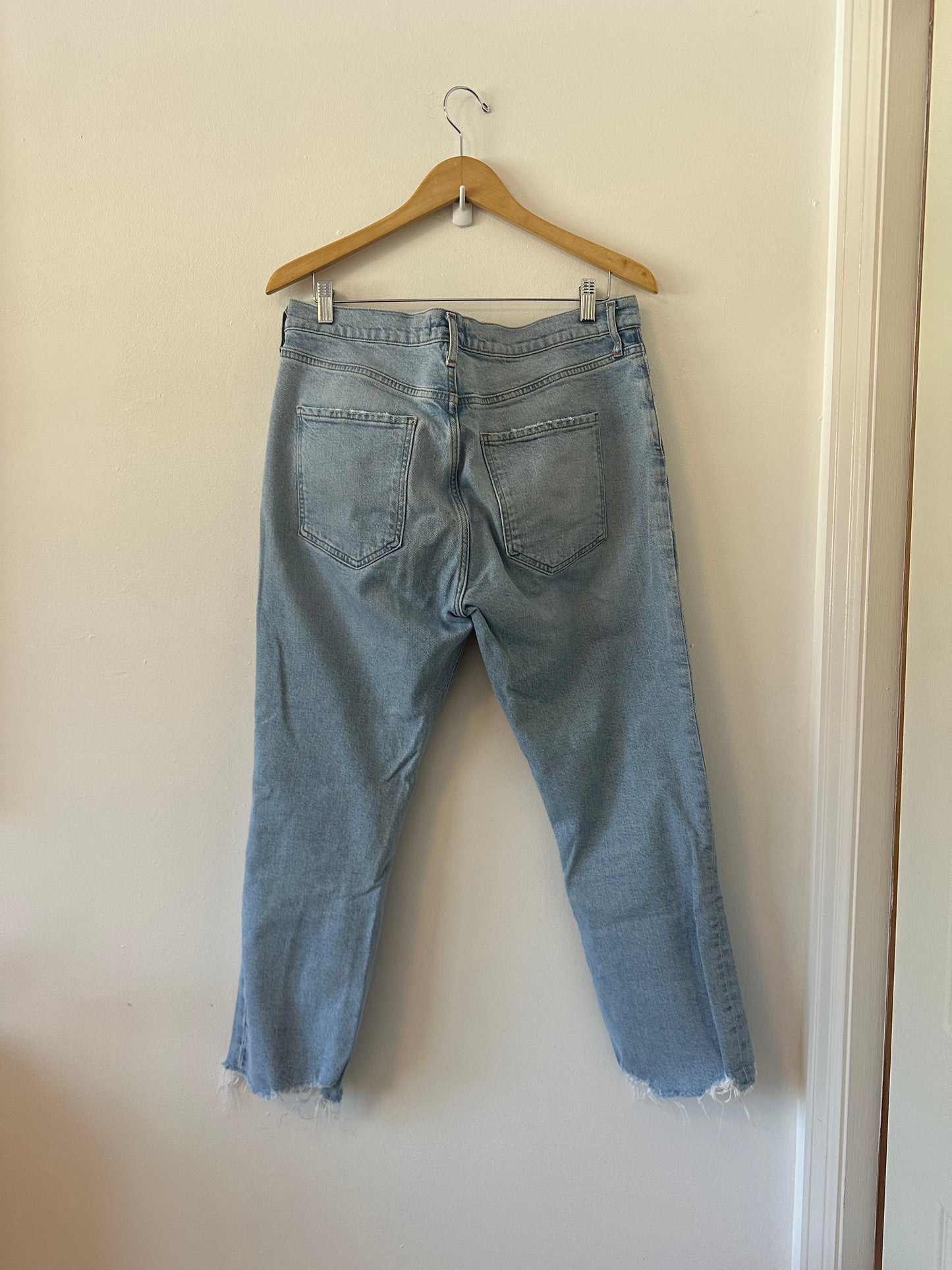 Agolde Riley High Rise Straight Crop Raw Hem Jeans | Size 32