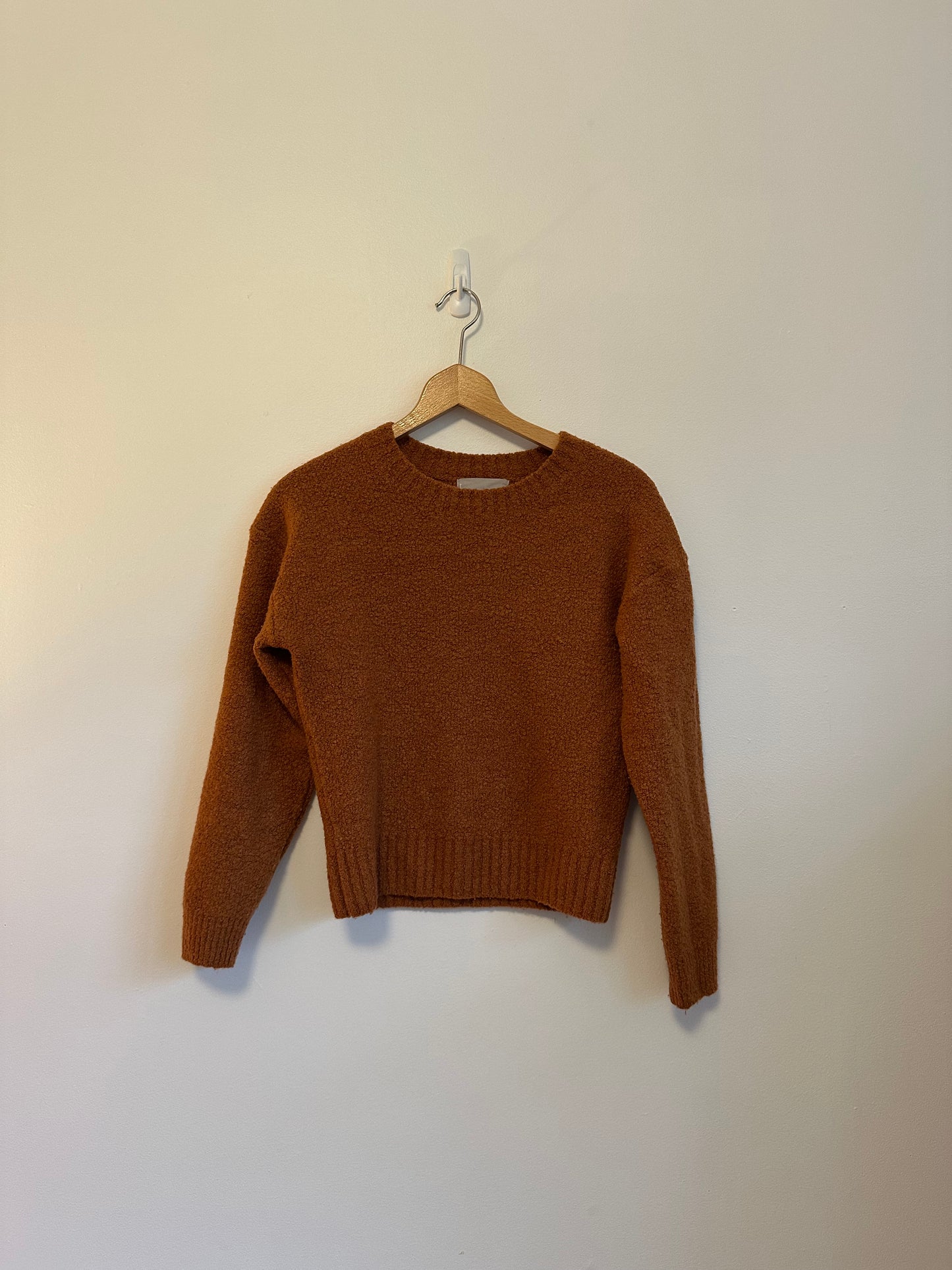 Everlane Teddy Crew Neck Sweater in Rust | Size Small