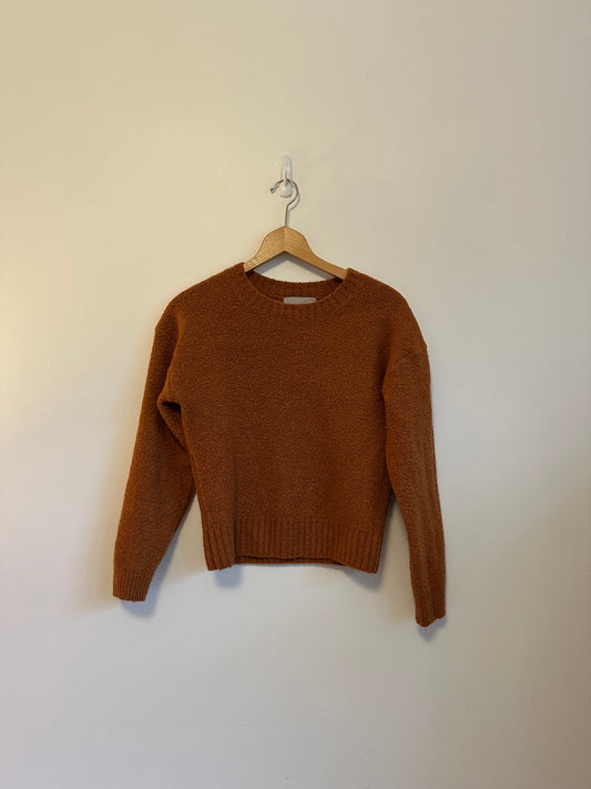 Everlane Teddy Crew Neck Sweater in Rust | Size Small
