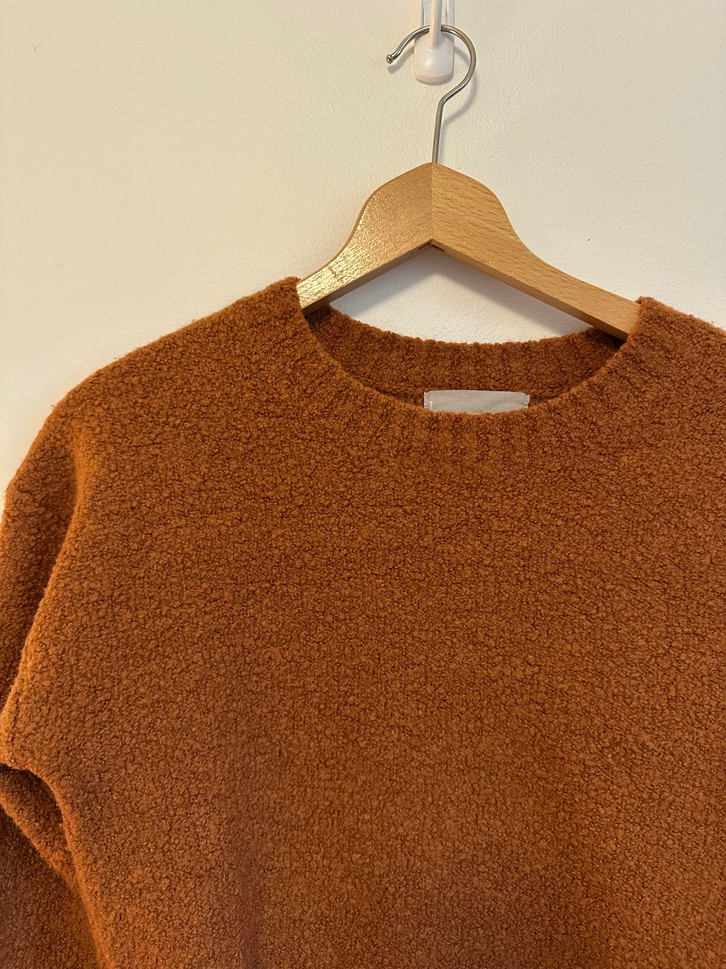 Everlane Teddy Crew Neck Sweater in Rust | Size Small