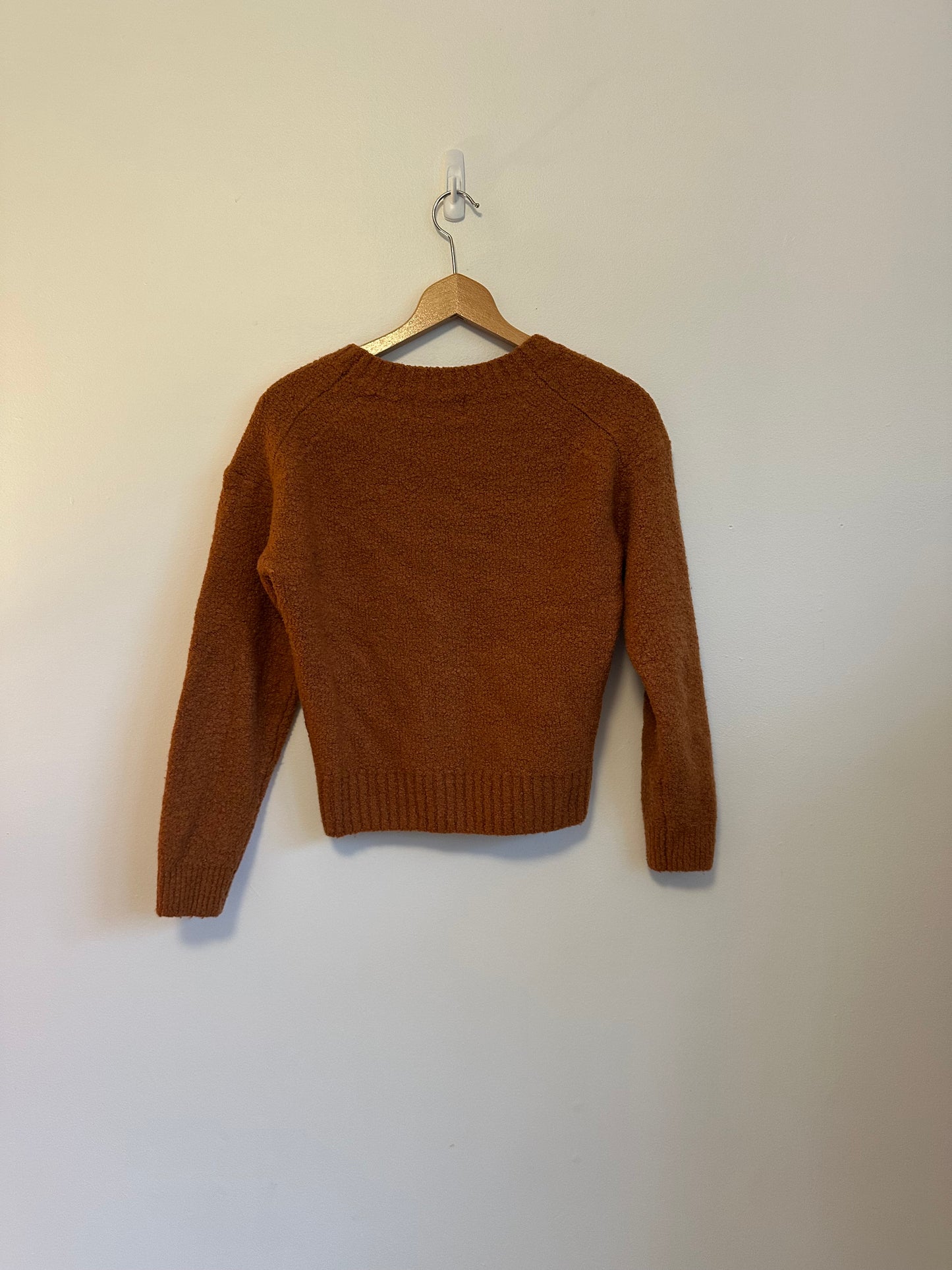 Everlane Teddy Crew Neck Sweater in Rust | Size Small