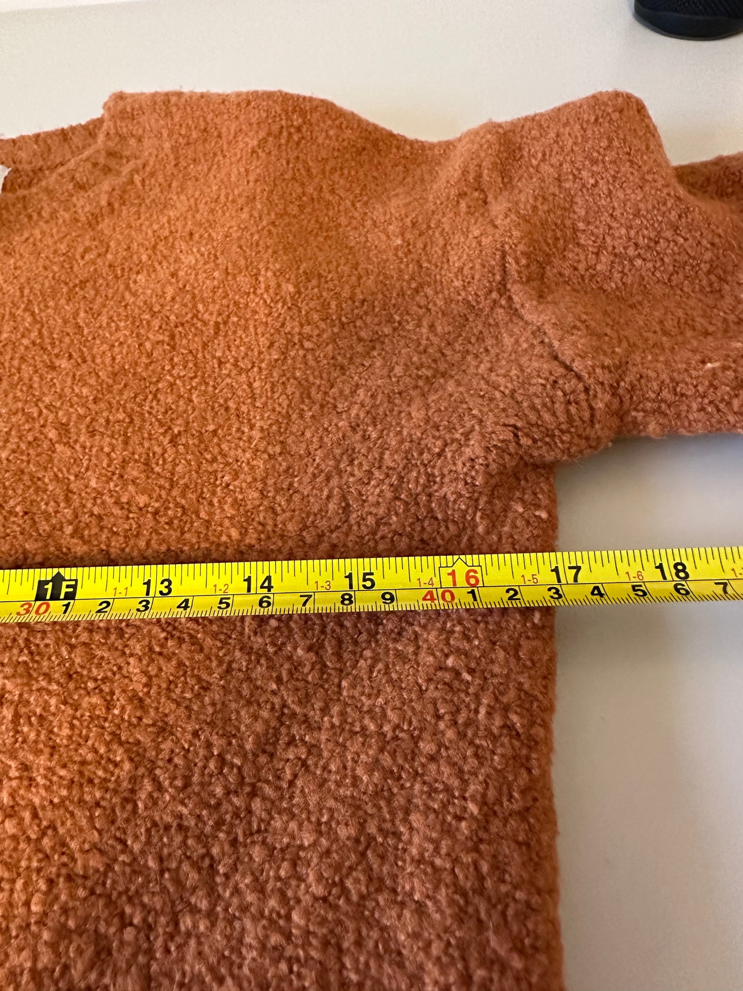 Everlane Teddy Crew Neck Sweater in Rust | Size Small