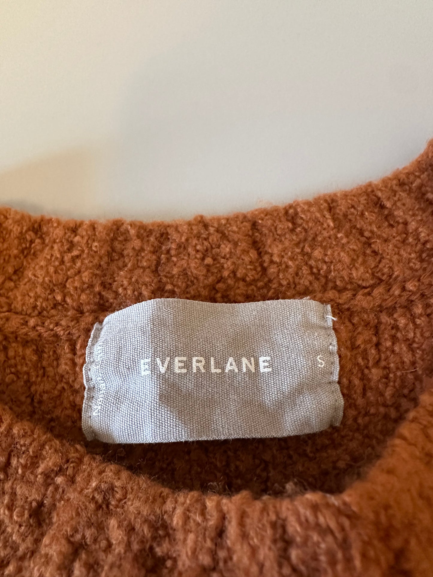Everlane Teddy Crew Neck Sweater in Rust | Size Small