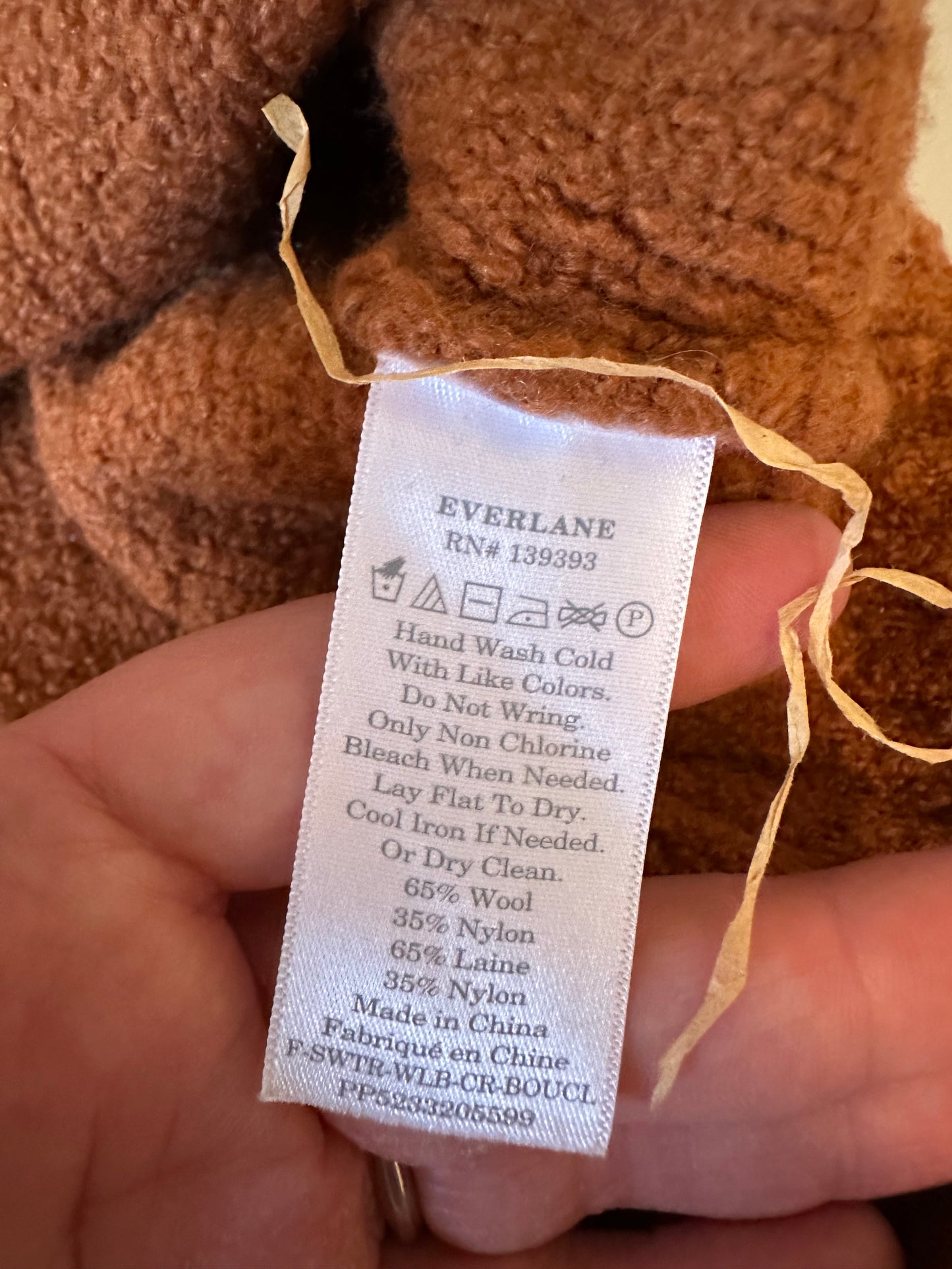 Everlane Teddy Crew Neck Sweater in Rust | Size Small