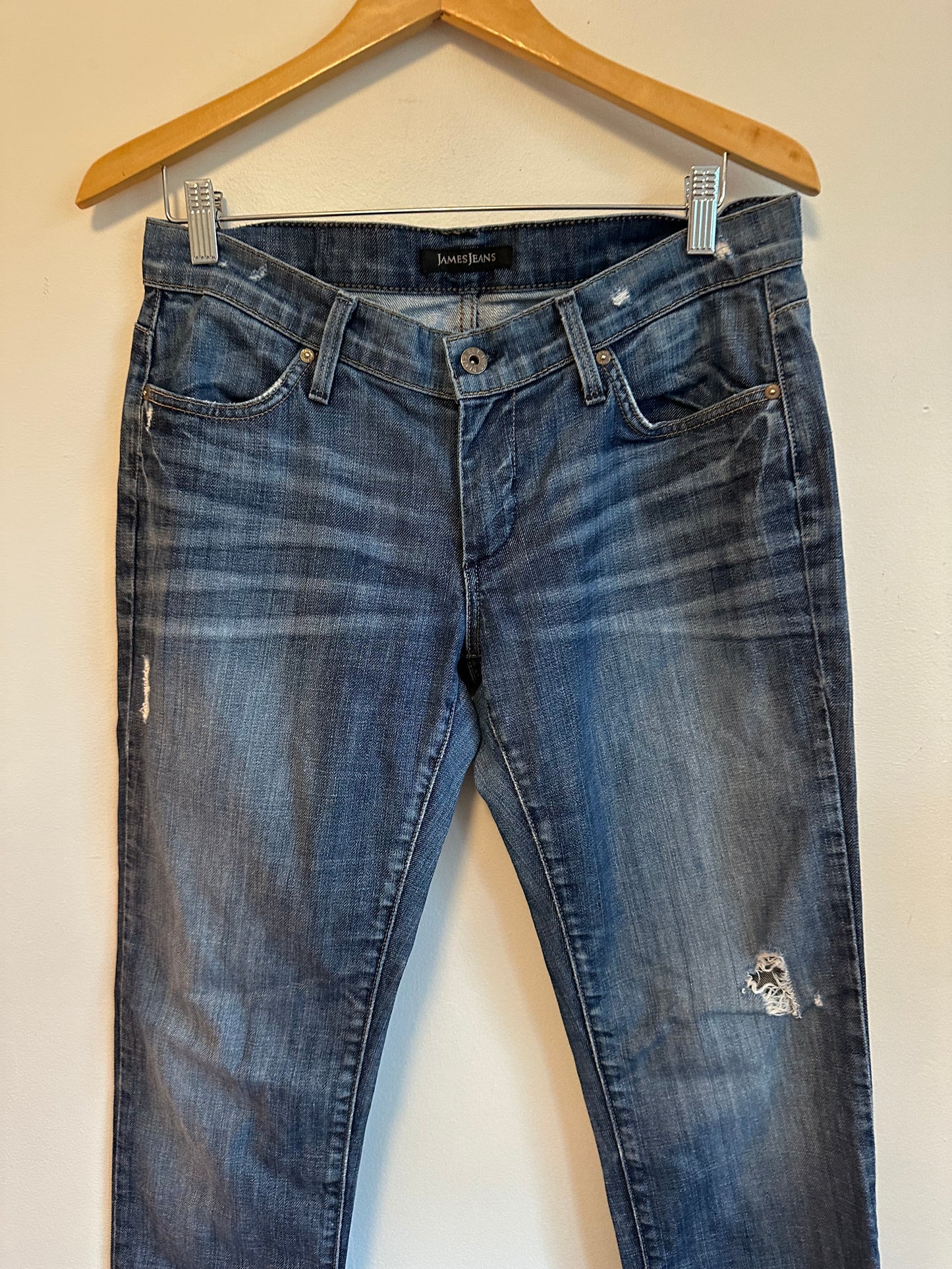 James Jeans Dry Aged Denim Straight Leg Jeans | Size 29