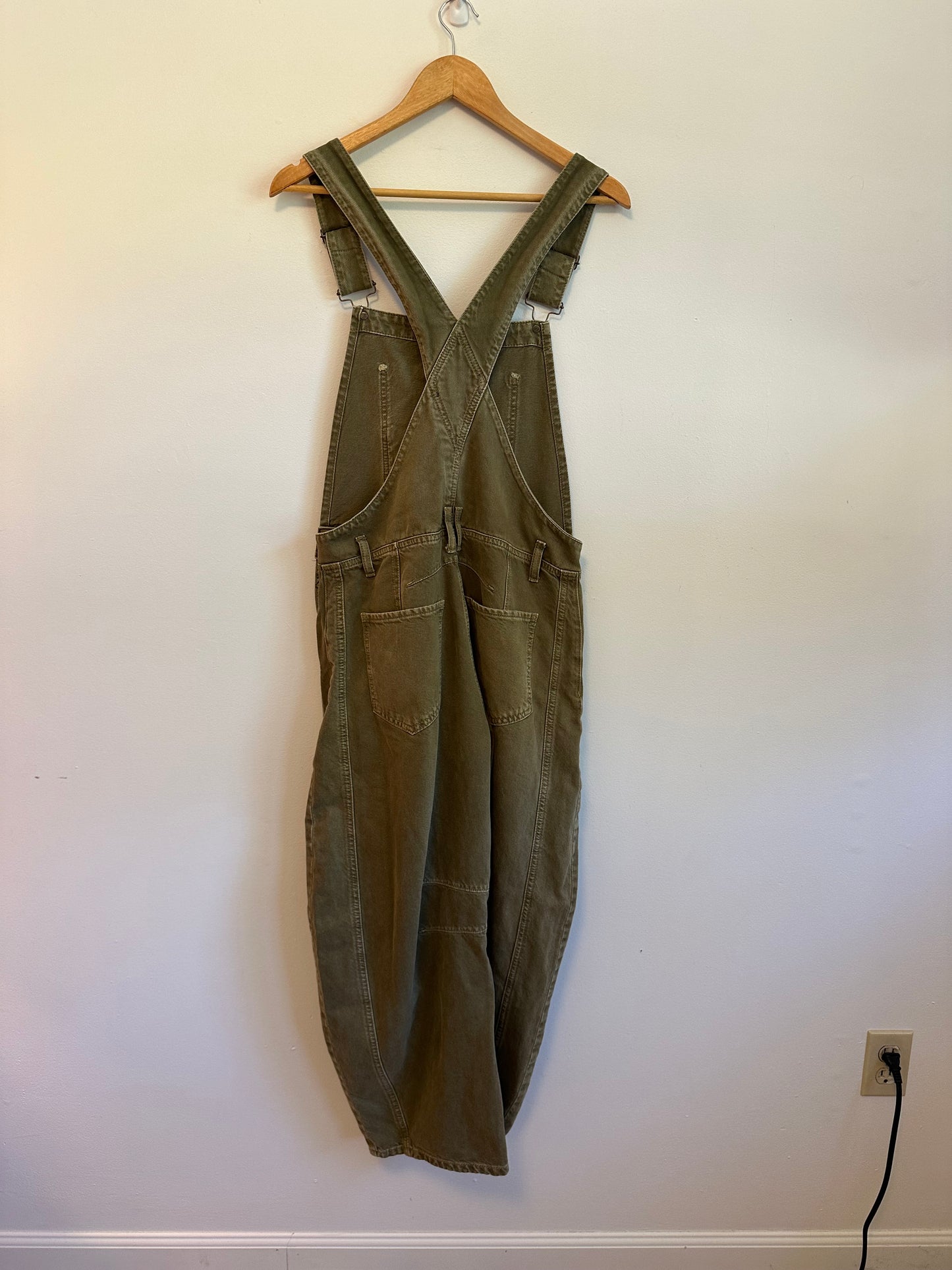 We The Free Good Luck Barrel Overalls in Weeping Willow | Size Small