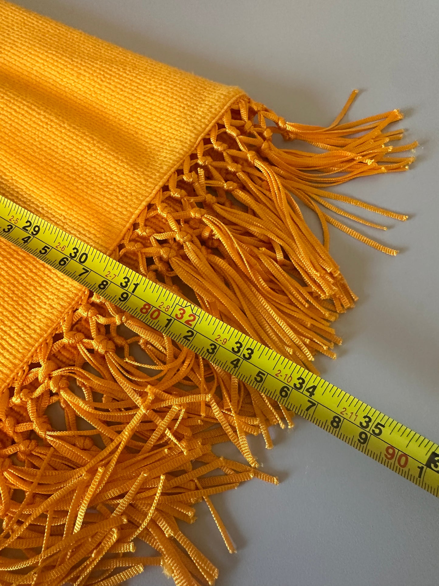 NWT Saylor Leyna Mango Fringe Dress | Size Large