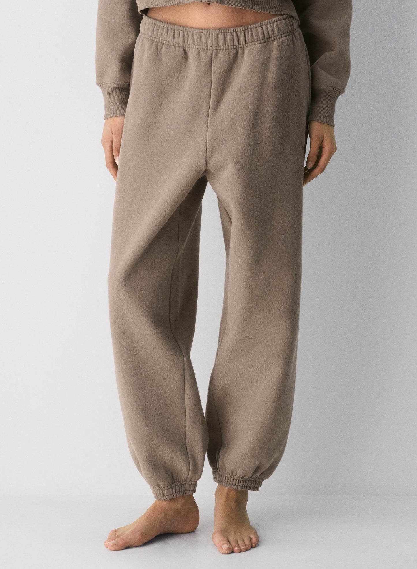 NWT Aritzia Cozy Fleece Mega Jogger Sweatpants in Taupe Brown | Size Small