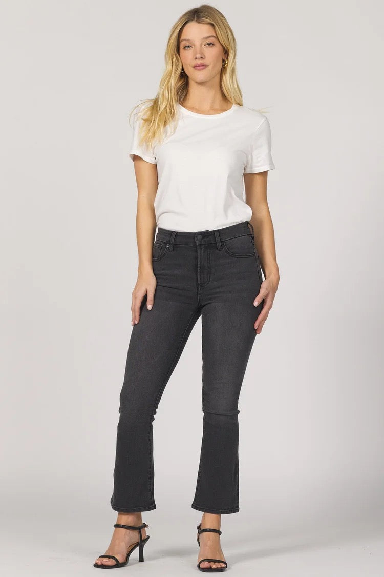 NWT Dear John Denim Jeanne Flare Jean in Crosscreek | Size 32
