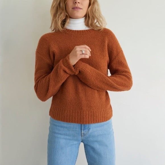 Everlane Teddy Crew Neck Sweater in Rust | Size Small